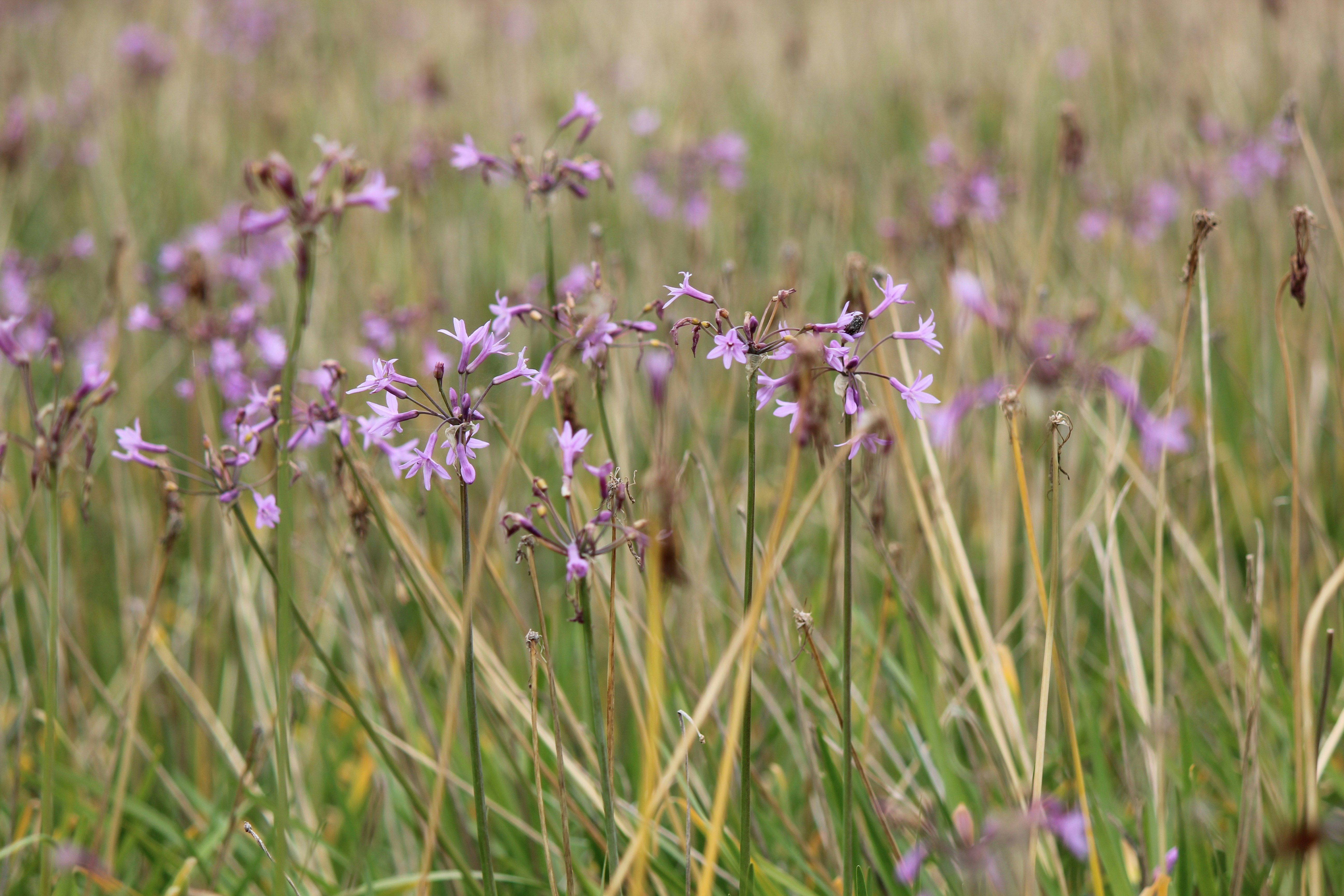 Photo by elmountassir1