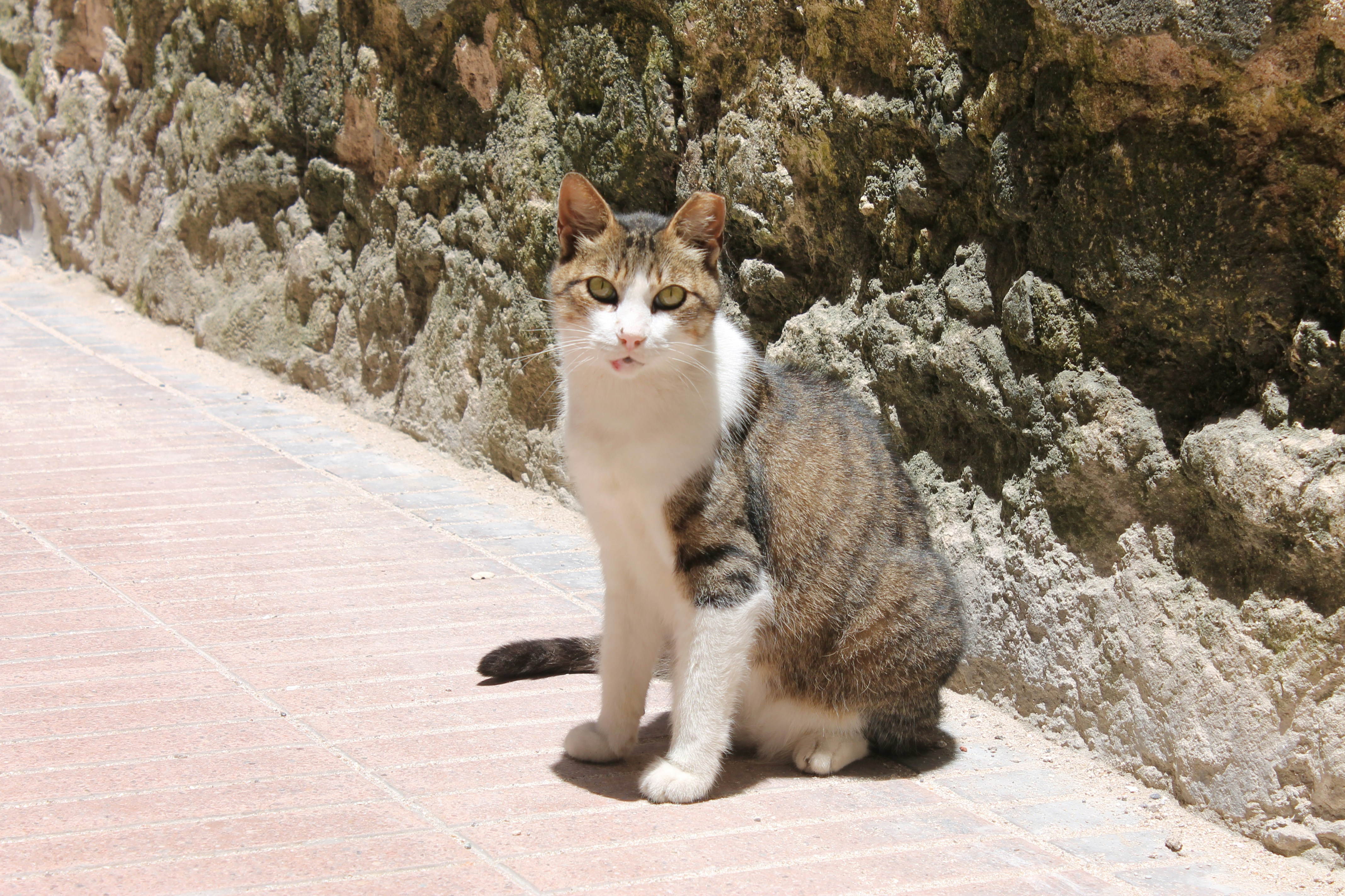 Photo by elmountassir1