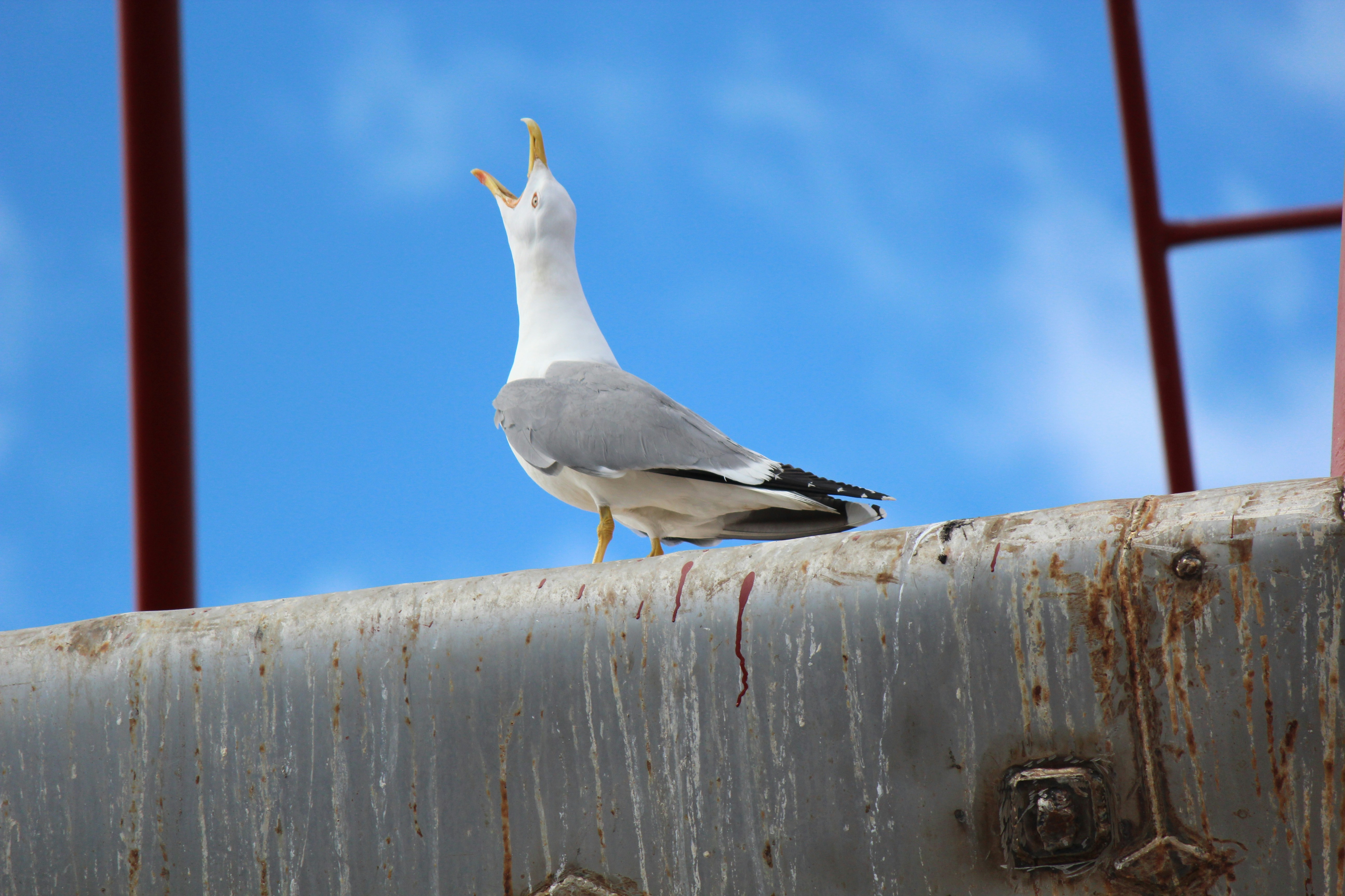 Photo by elmountassir1