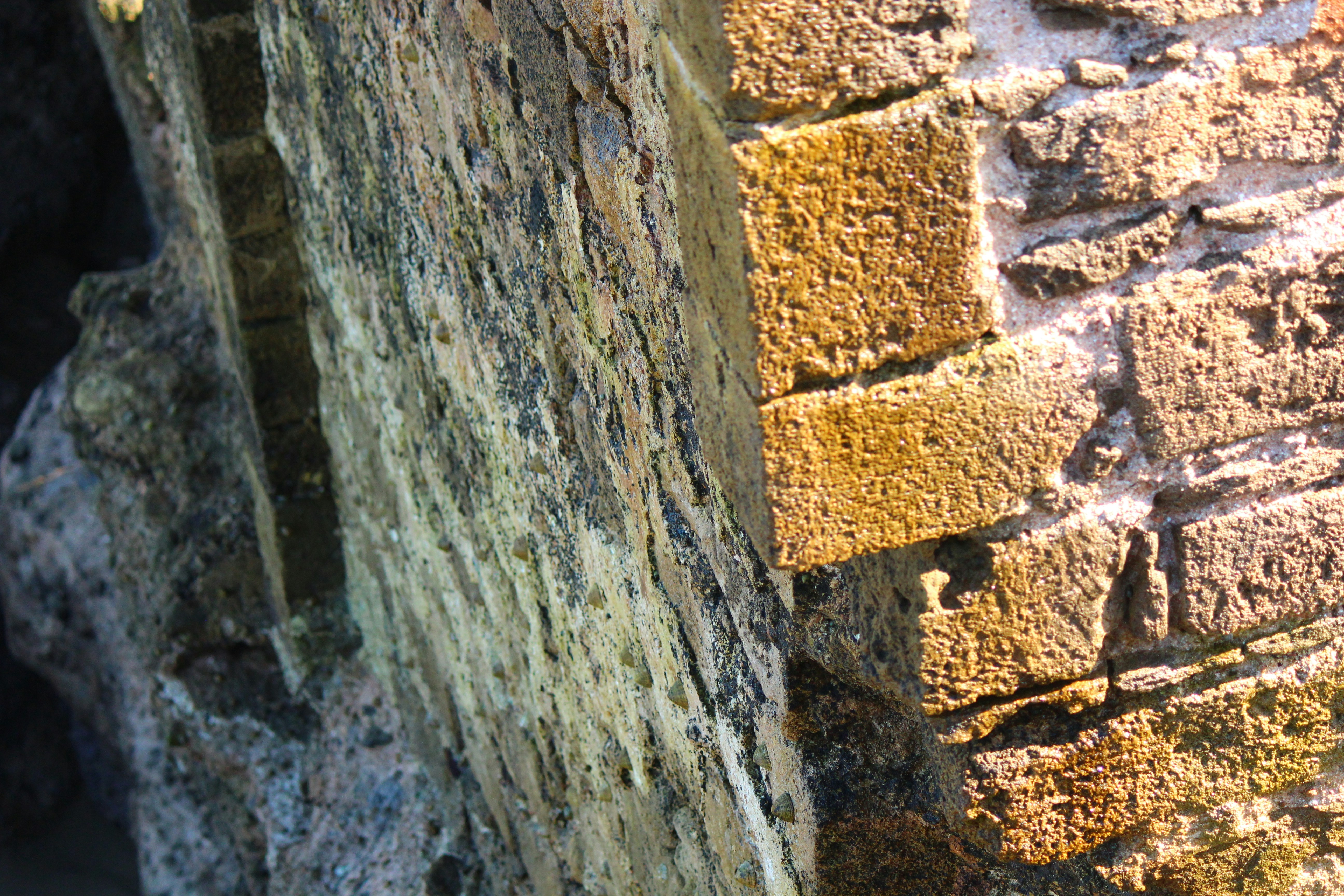 Photo by elmountassir1