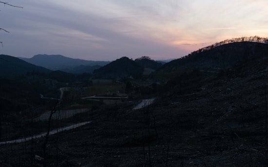 A serene landscape with soft rolling hills under a twilight sky, evoking a sense of calm and tranquility.