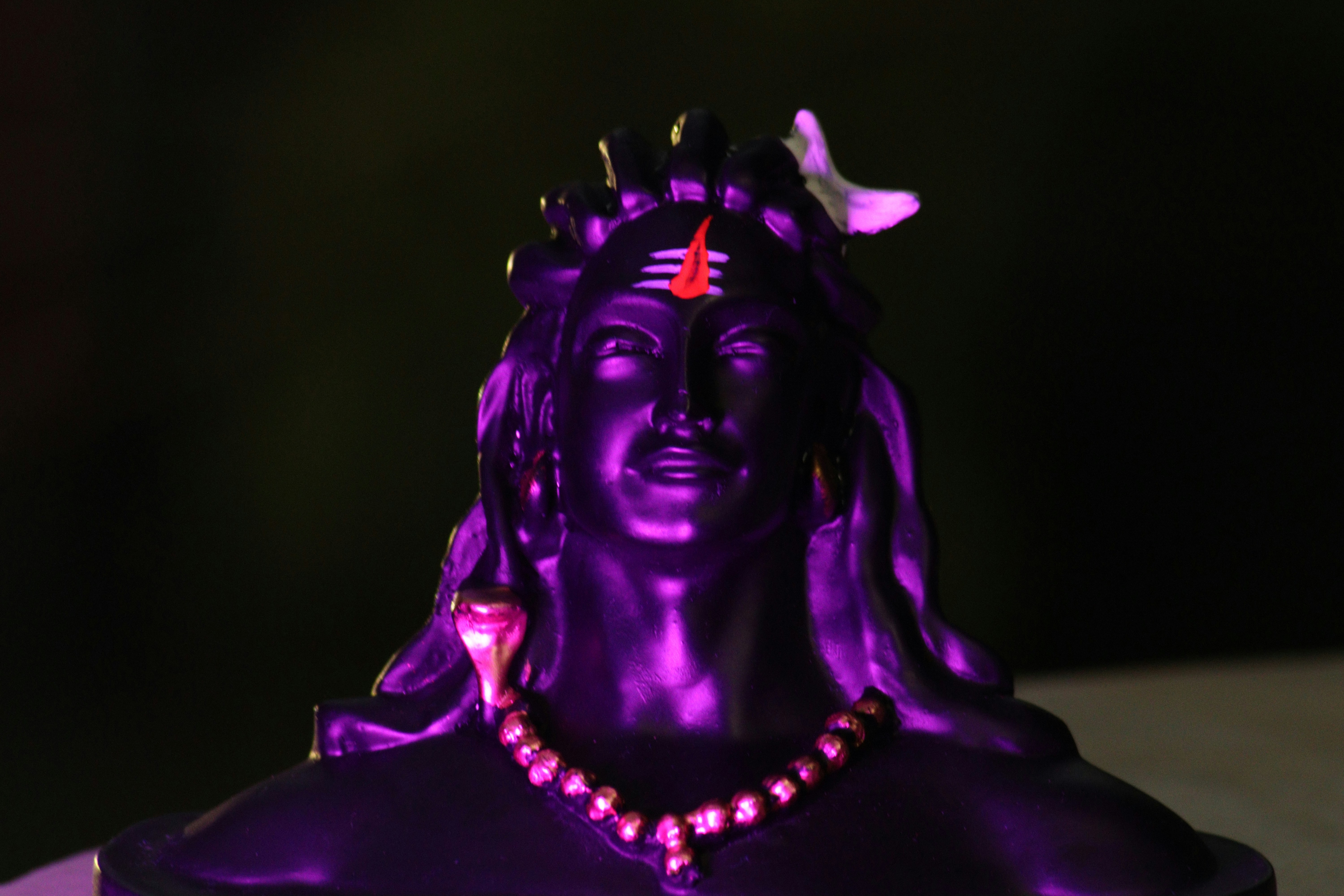 a person wearing a purple garment