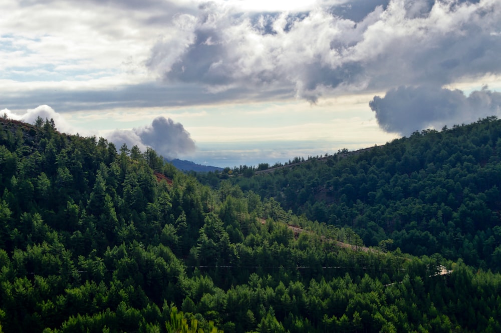 a landscape with trees and clouds