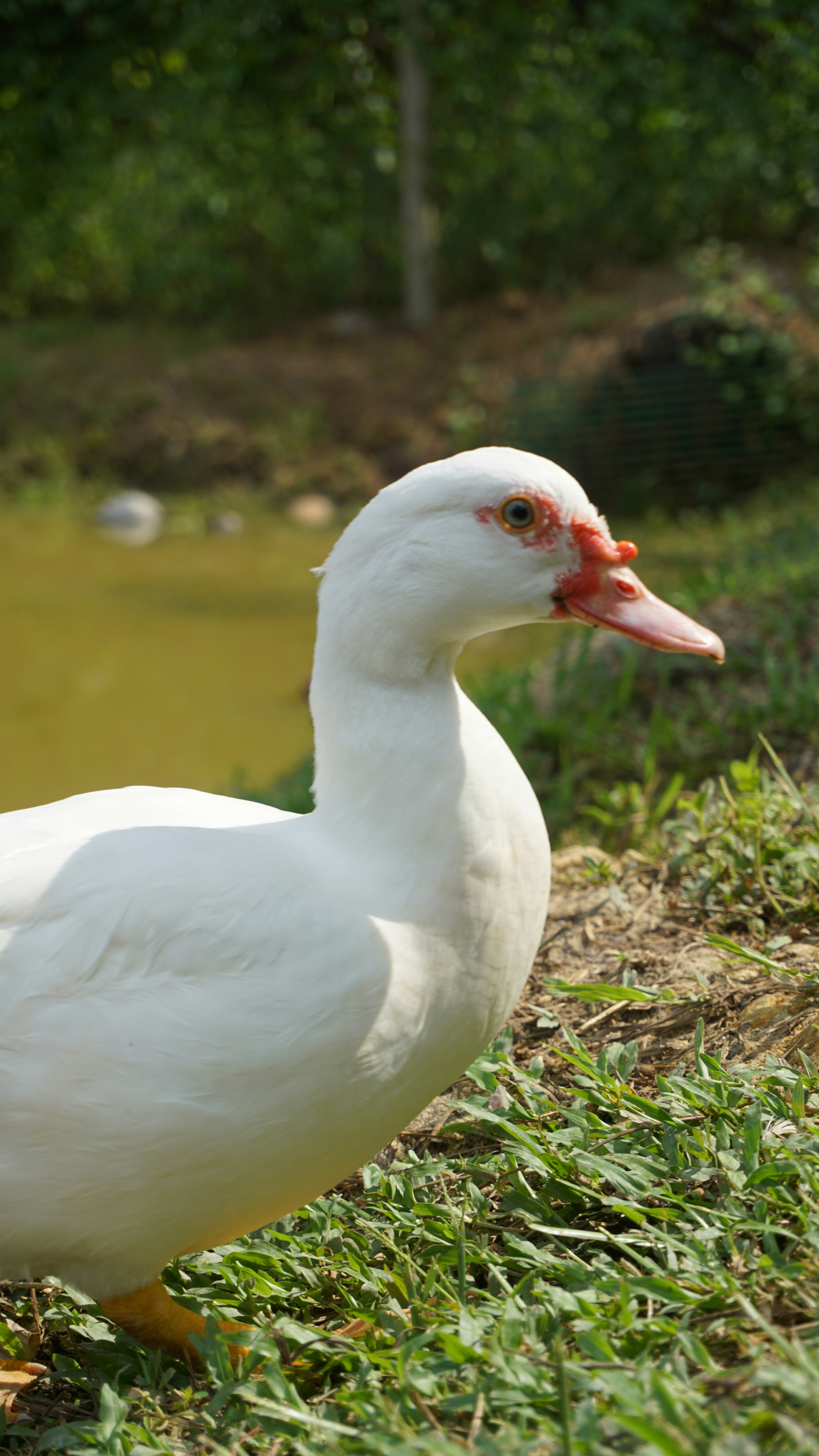 Photo by hakimrahim_