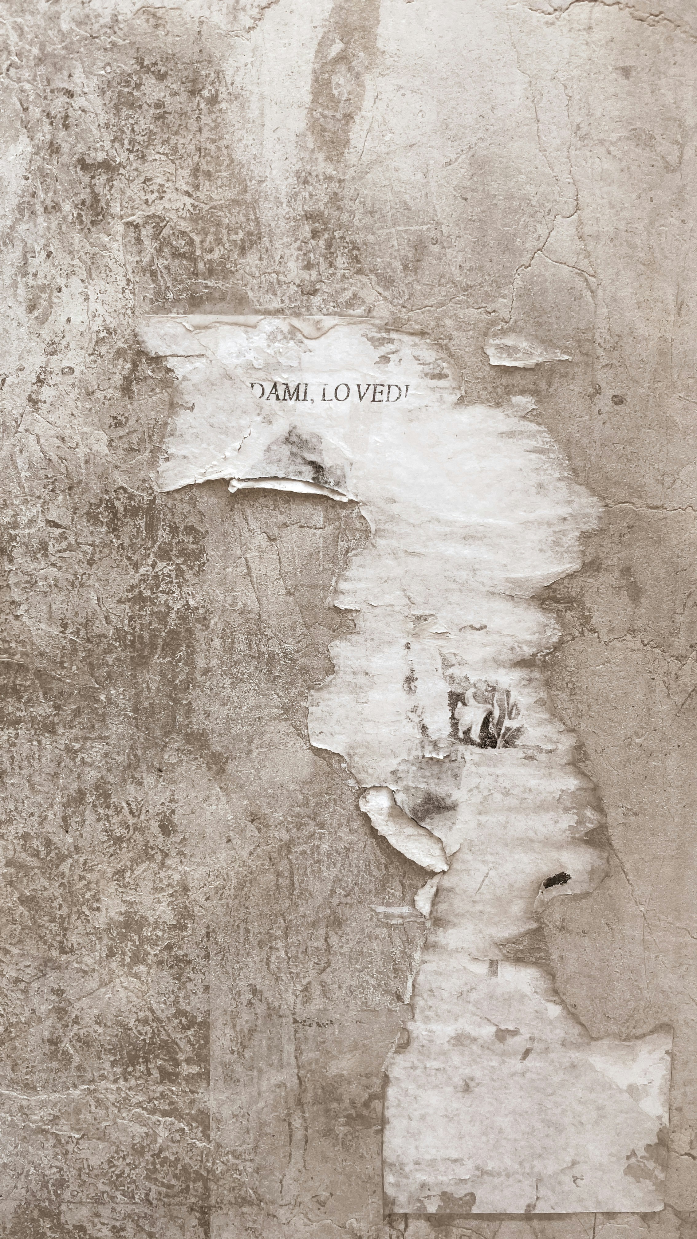 Sustainable Pre-Loved Treasures