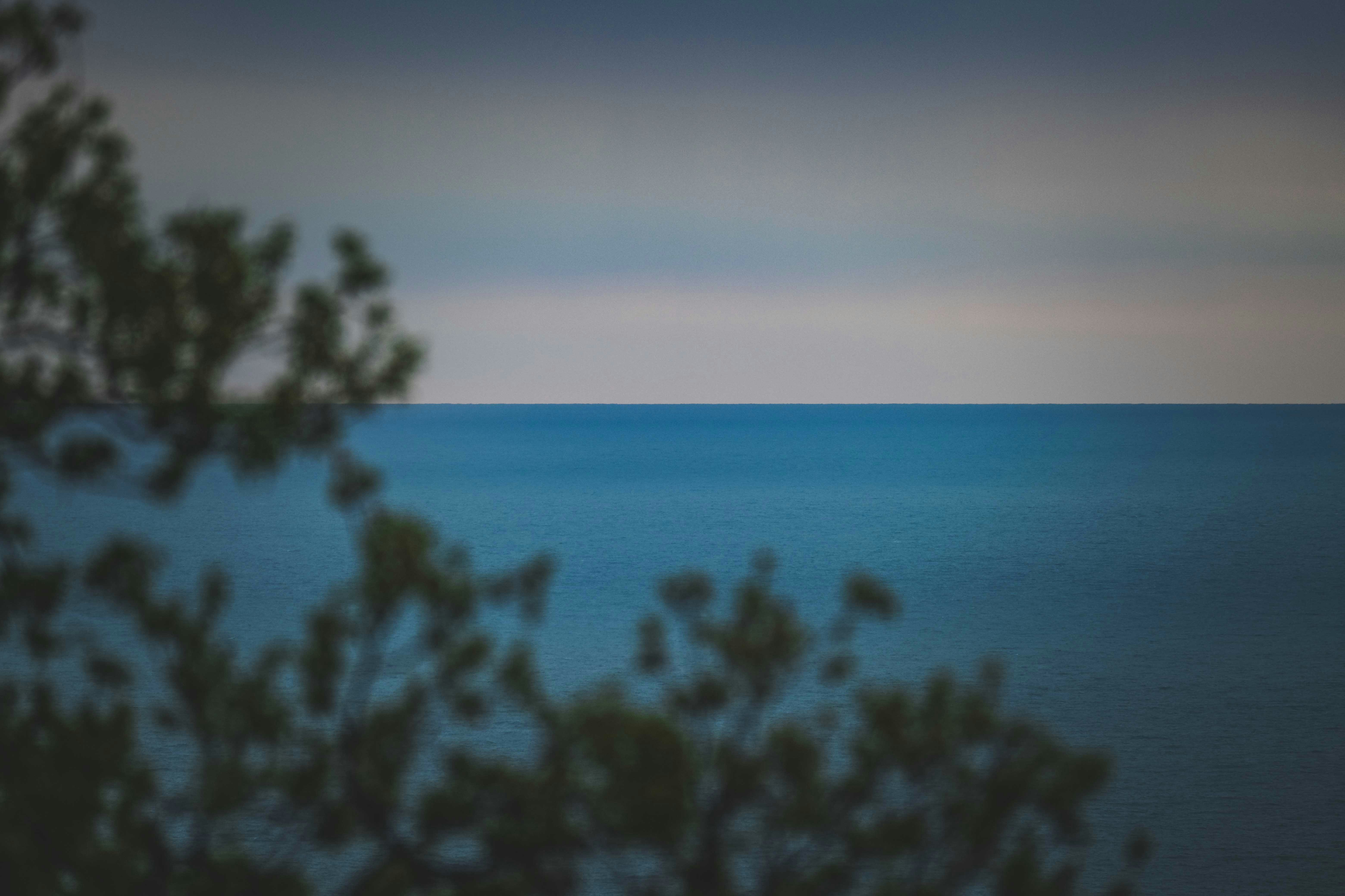 Photo by francesco_ungaro