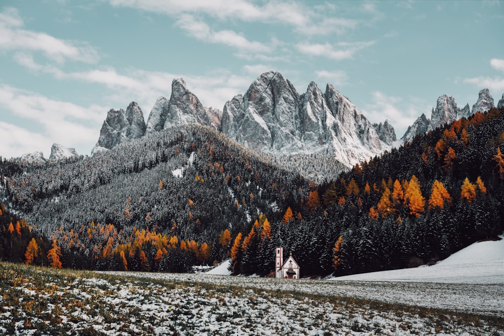 a snowy mountain with trees and a house in front of it