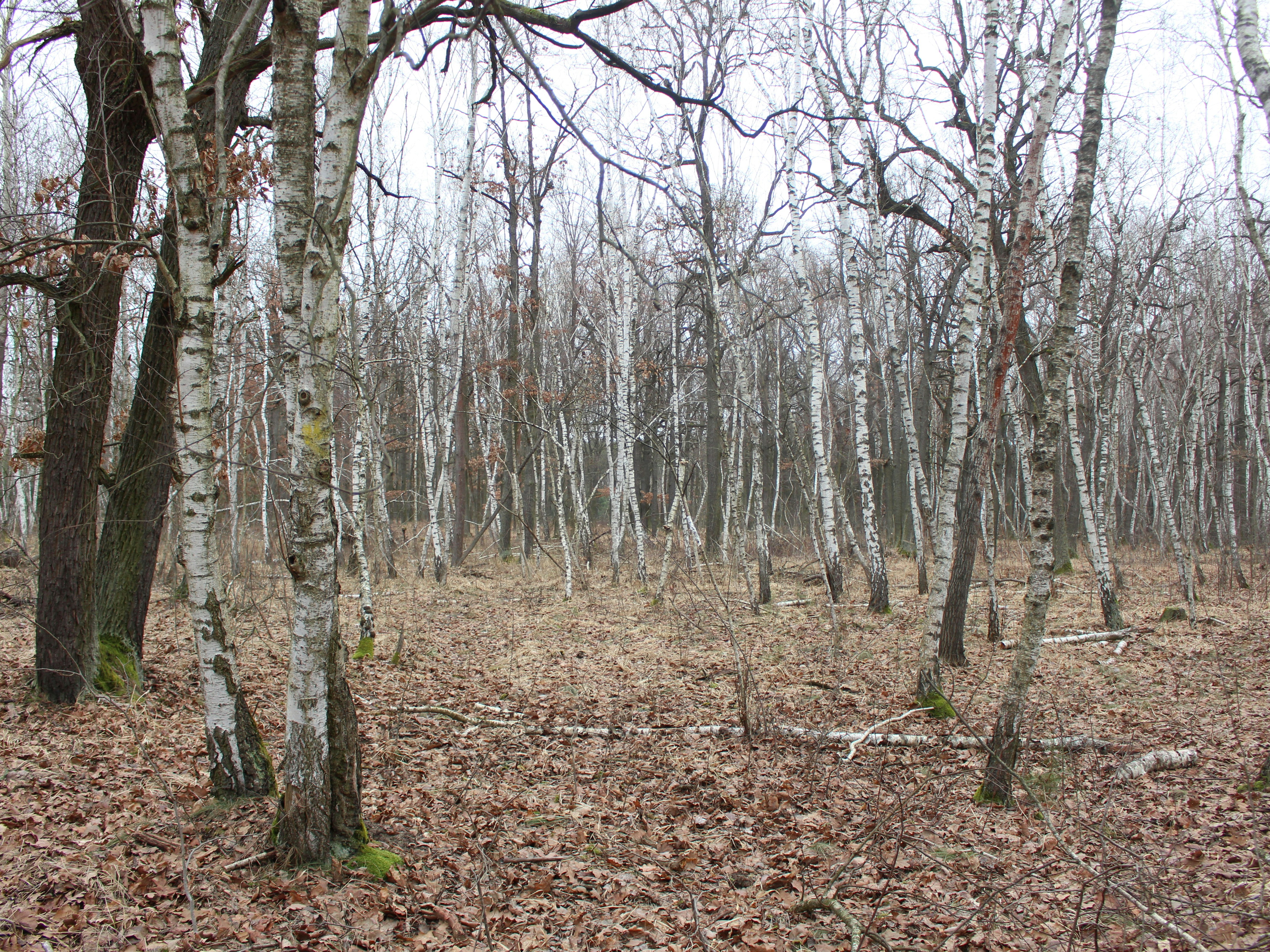 Photo by marjorylucabaxter