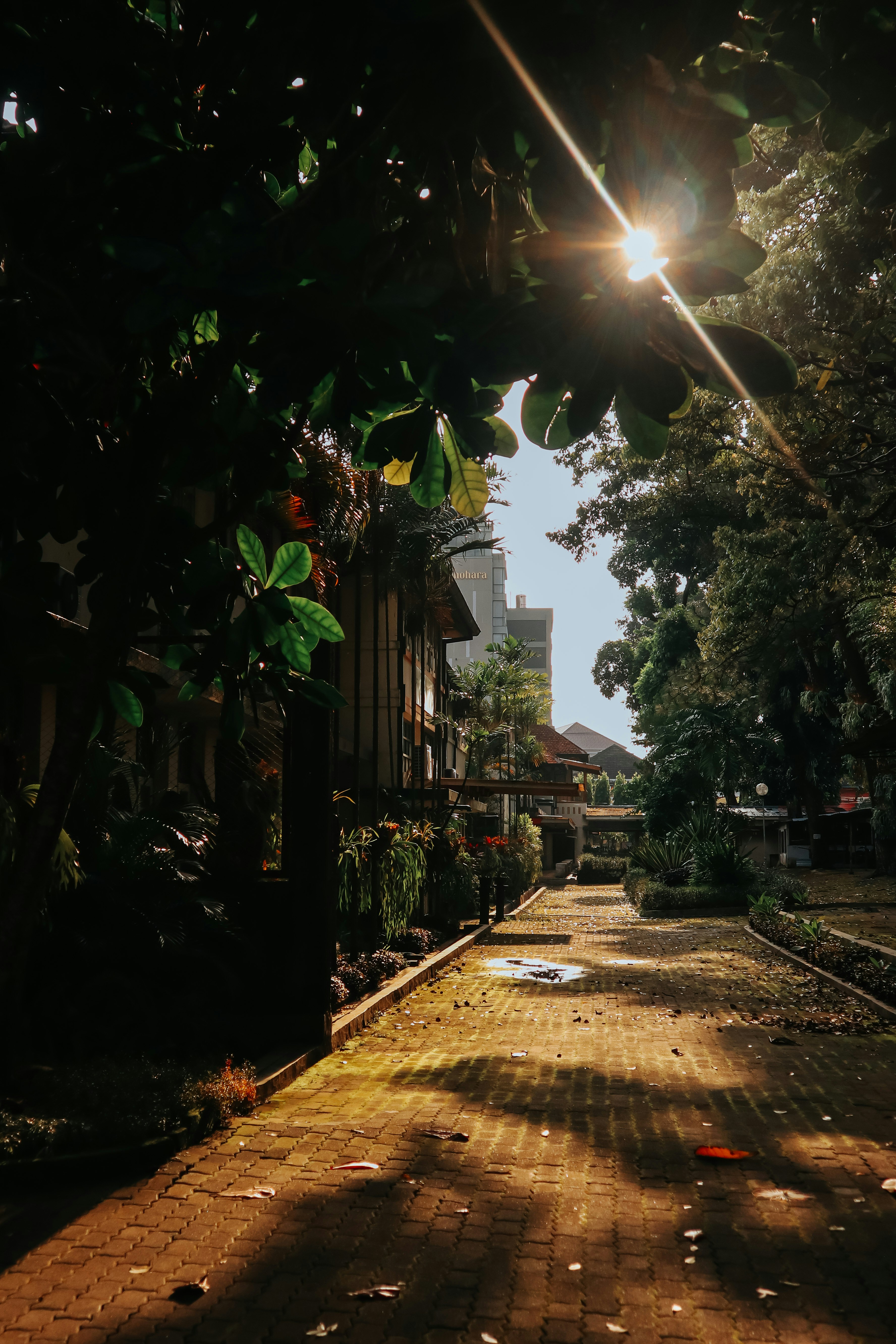 Photo by tituswindip