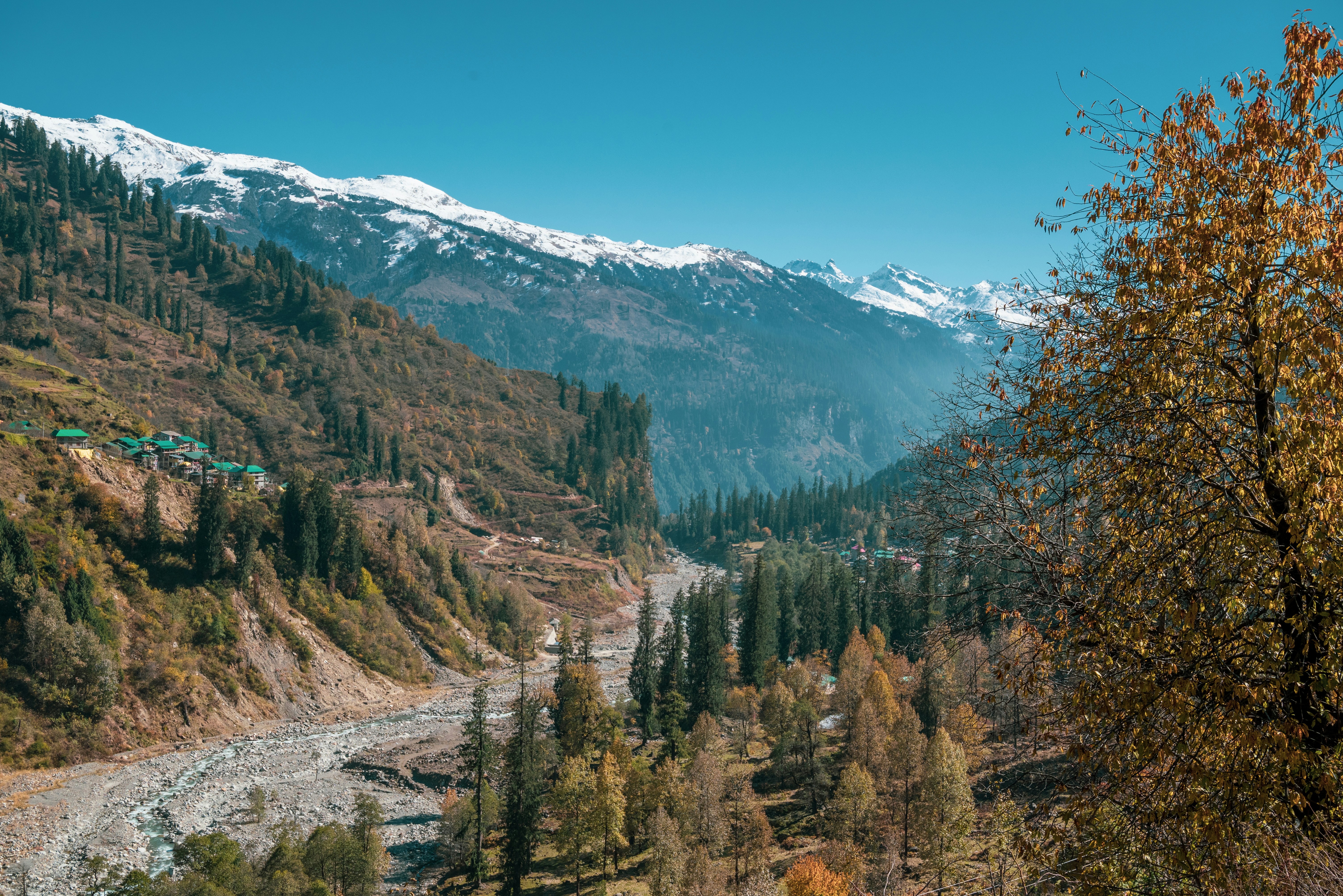 a landscape with trees and mountains