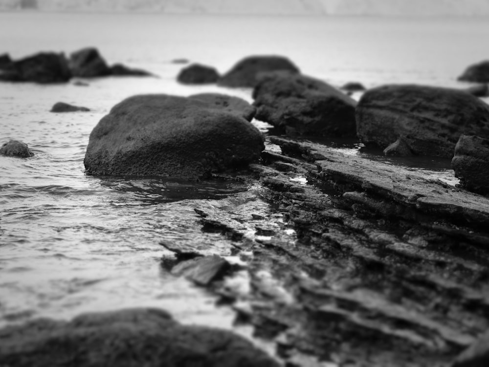 a rocky beach with a body of water in the background