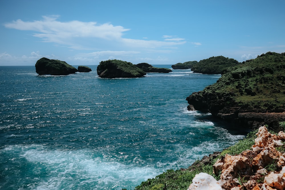 a body of water with rocks and trees around it