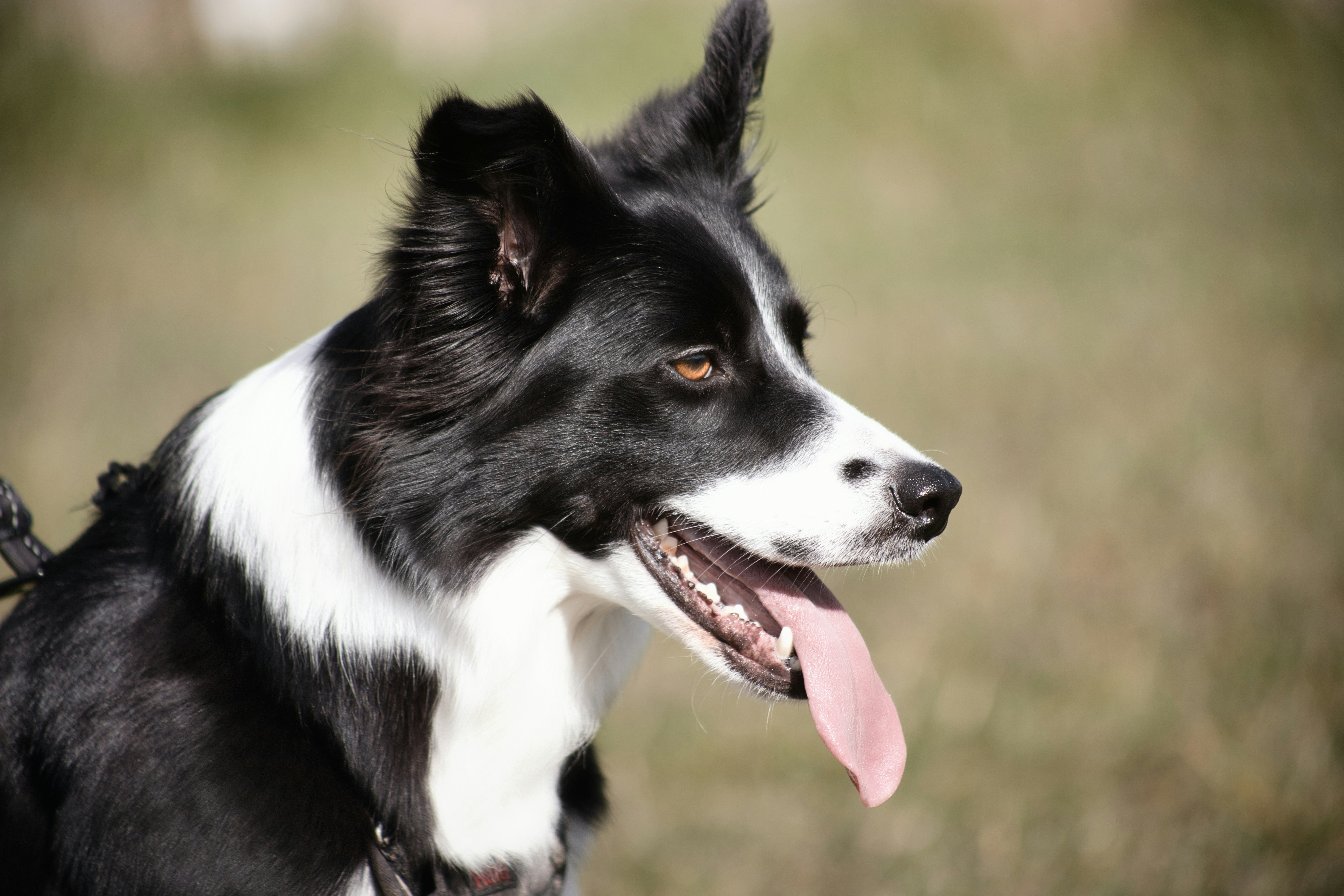 Photo by rprphotography