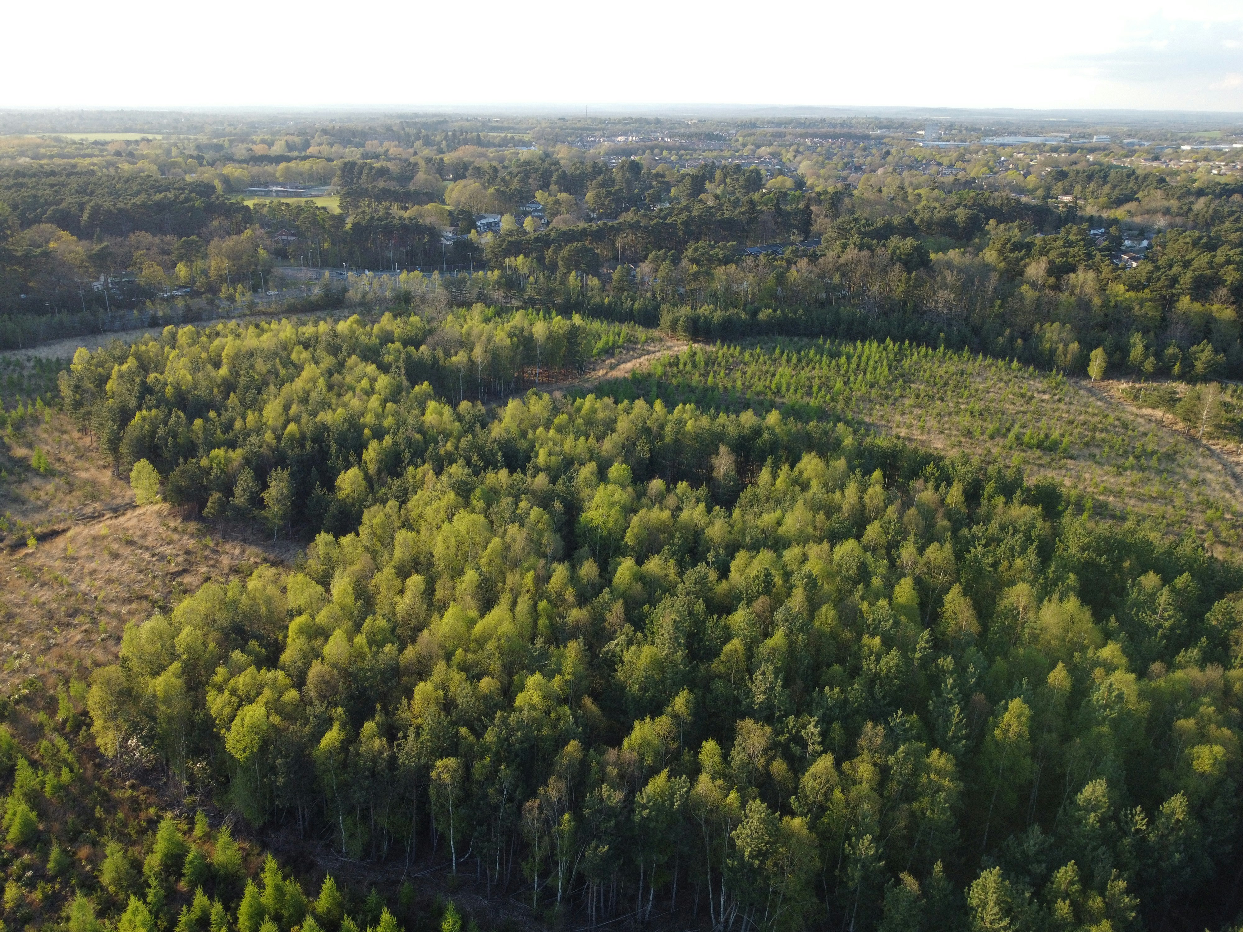 Photo by rprphotography