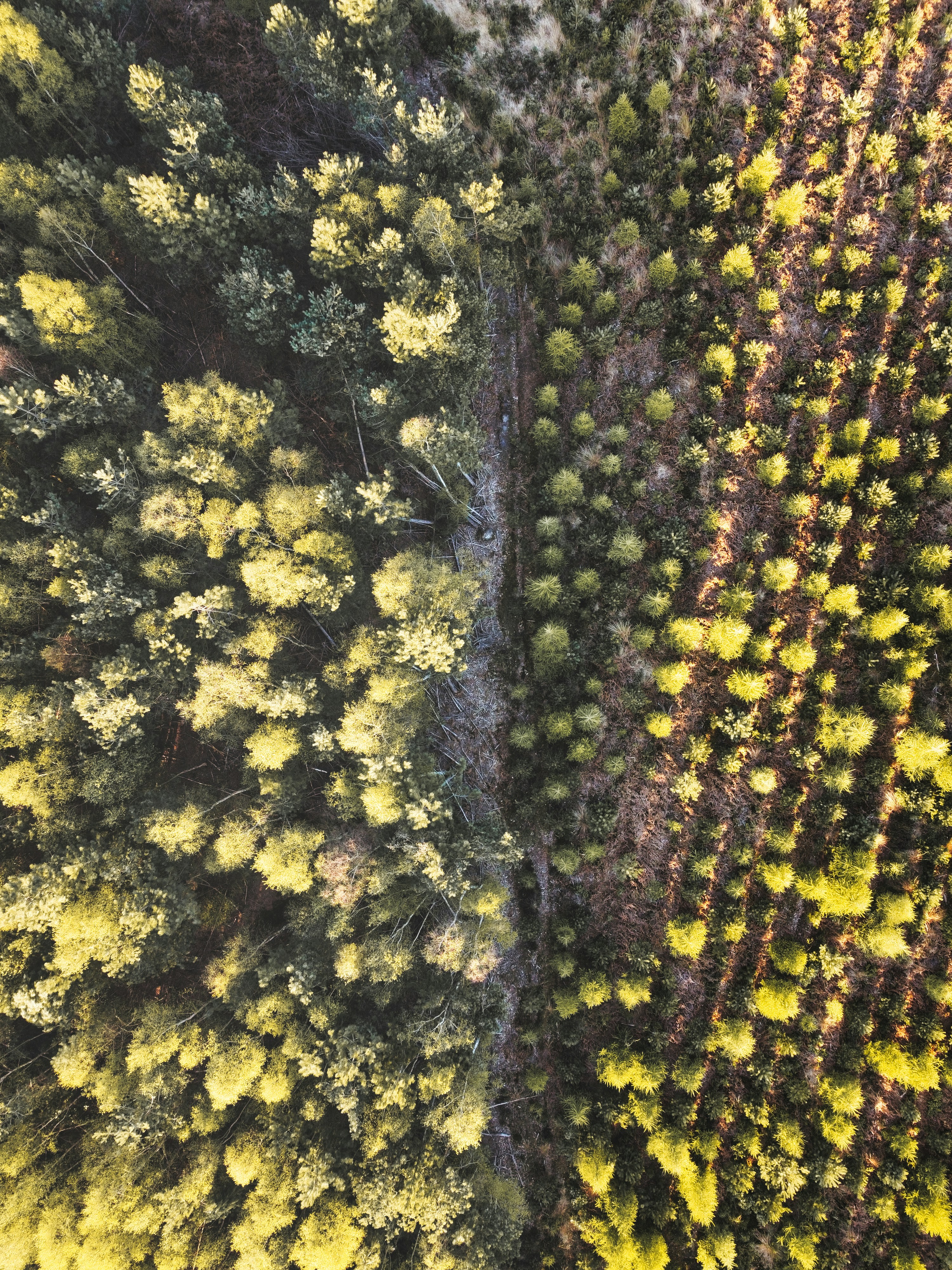 Photo by rprphotography