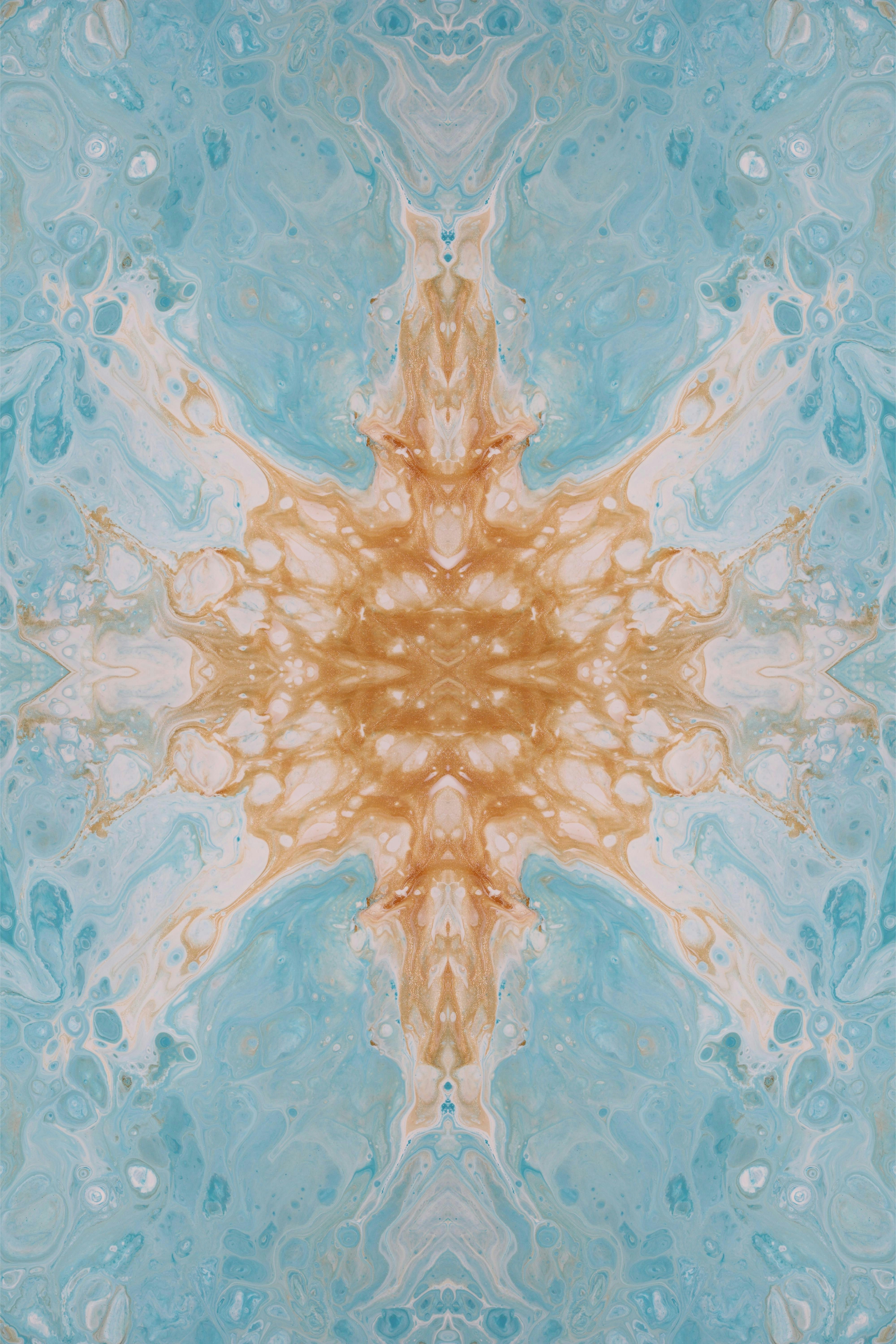 Photo by susan_wilkinson