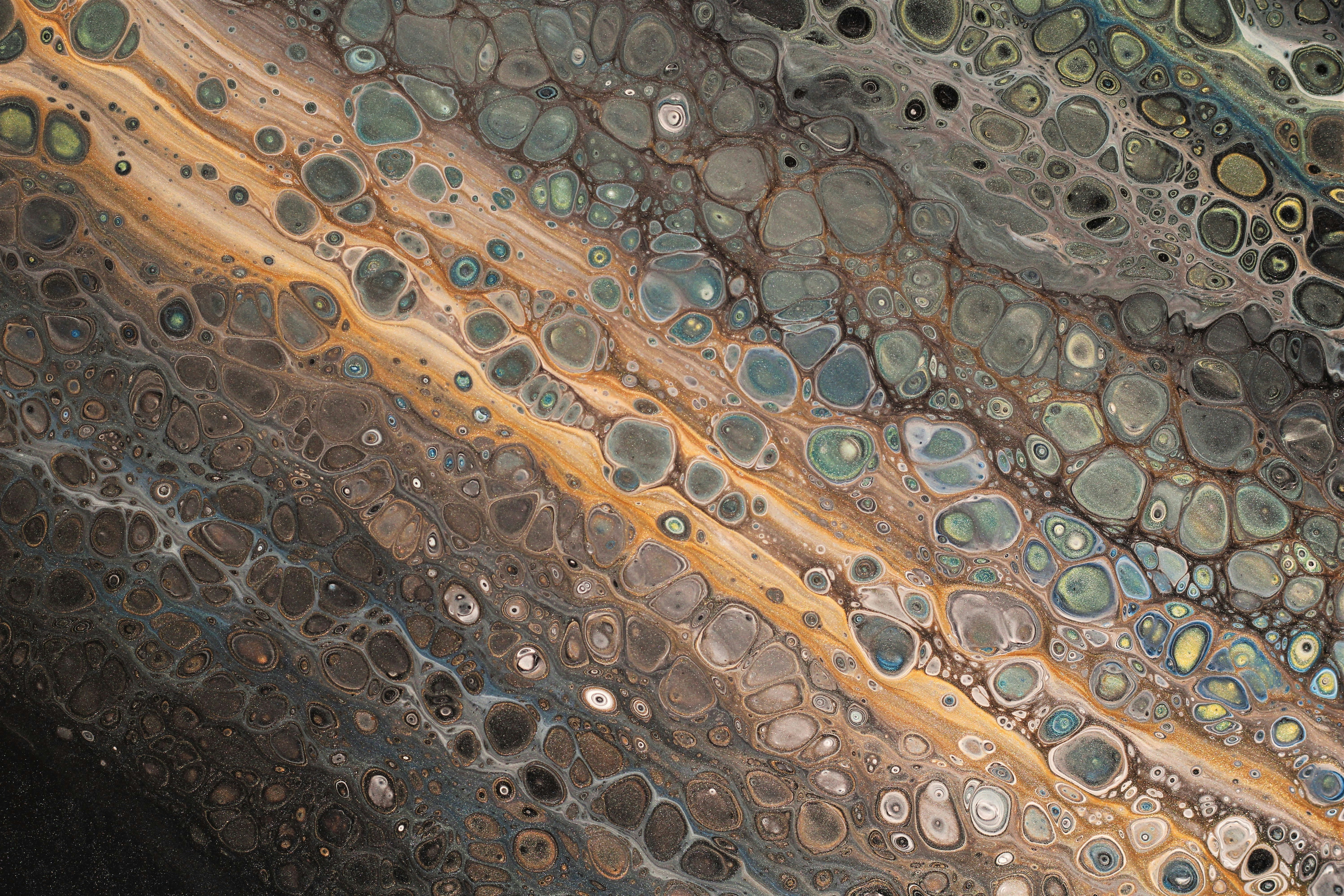 Photo by susan_wilkinson