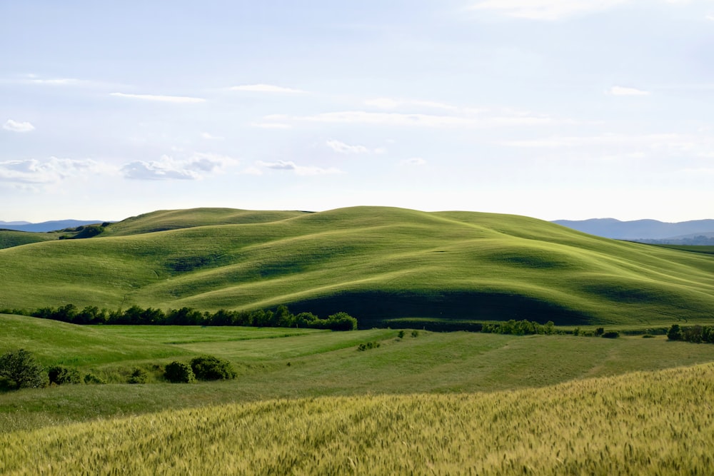 a grassy field with hills in the background