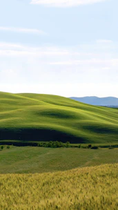 A gently sloping land with a distant view of mountains and clear skies.