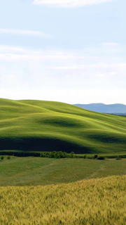 View of the Harz mountains with gentle hills and a clear blue sky.