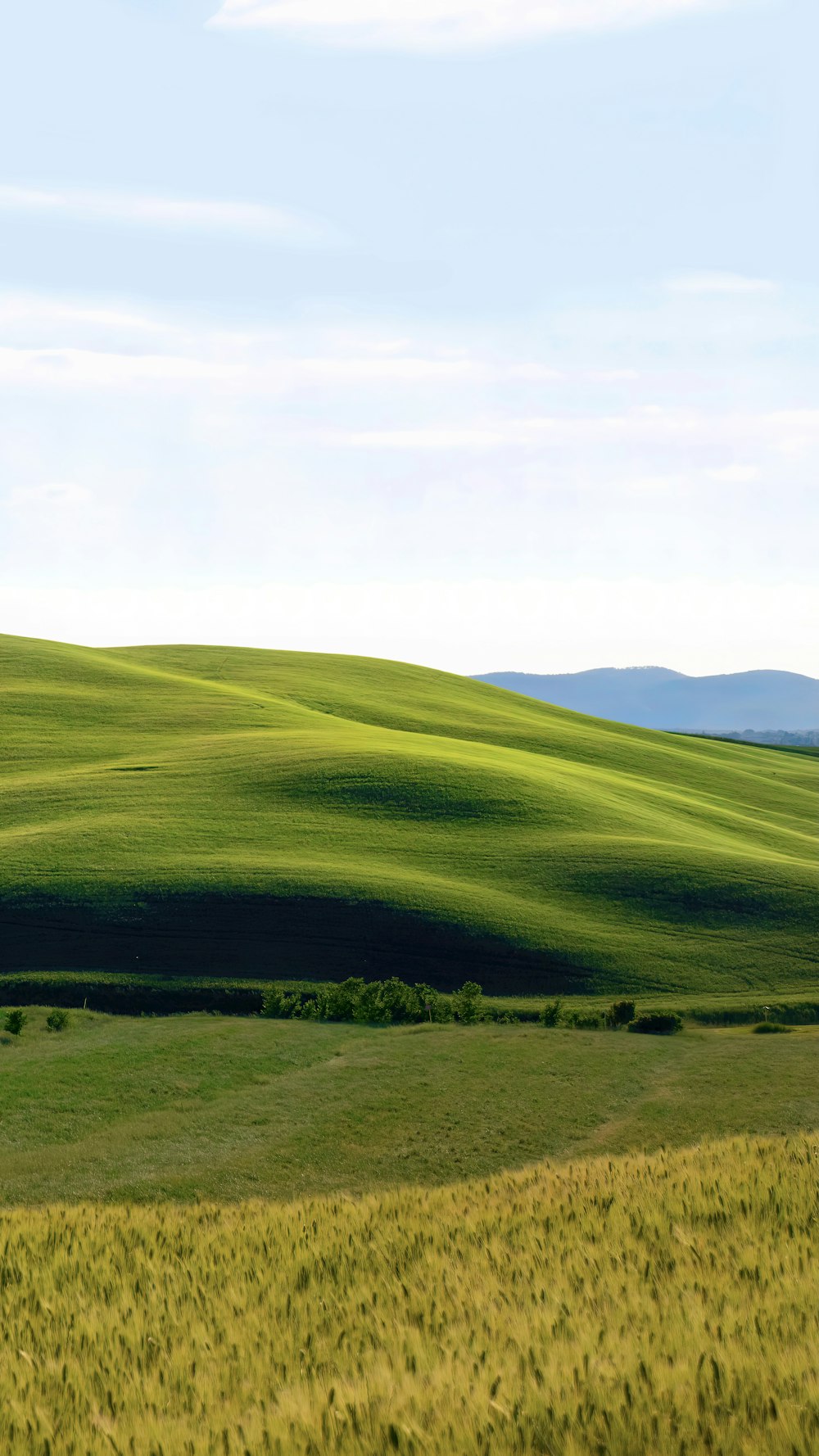 a grassy field with hills in the background