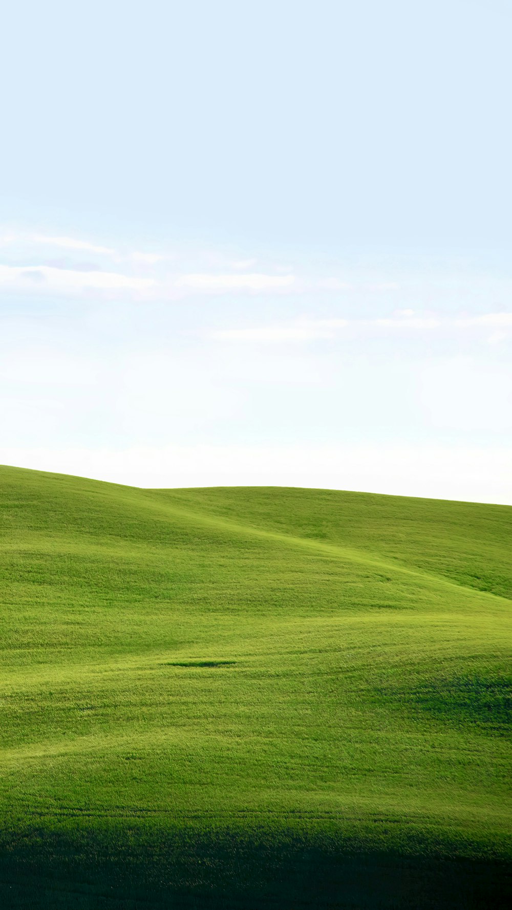 a grassy hill with a blue sky