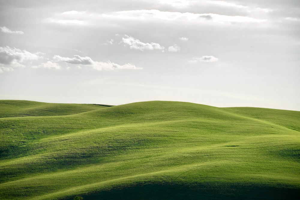 a green hilly landscape with Uffington White Horse in the background