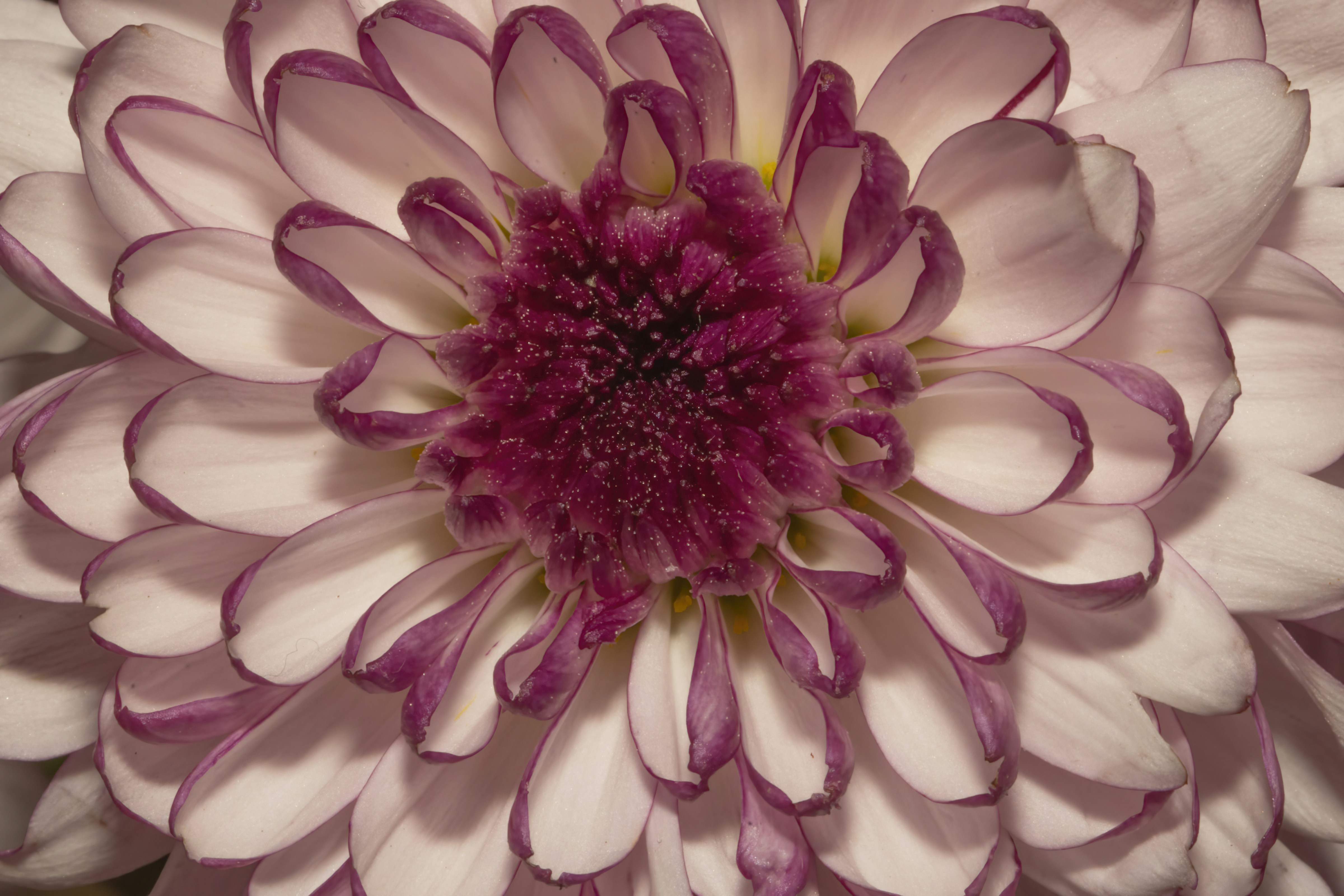 Photo by svaughn1984