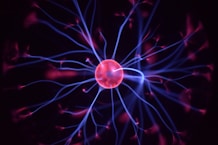 a close up of a red flower