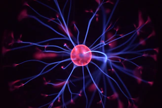 influx nerveux informations dans le cerveau