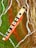 A painting features a wooden flute with multiple holes resting diagonally against an abstract background. The flute has a visible label with text in red. Surrounding it are swirling white lines and splashes of green, brown, and red, creating a dynamic and lively composition.