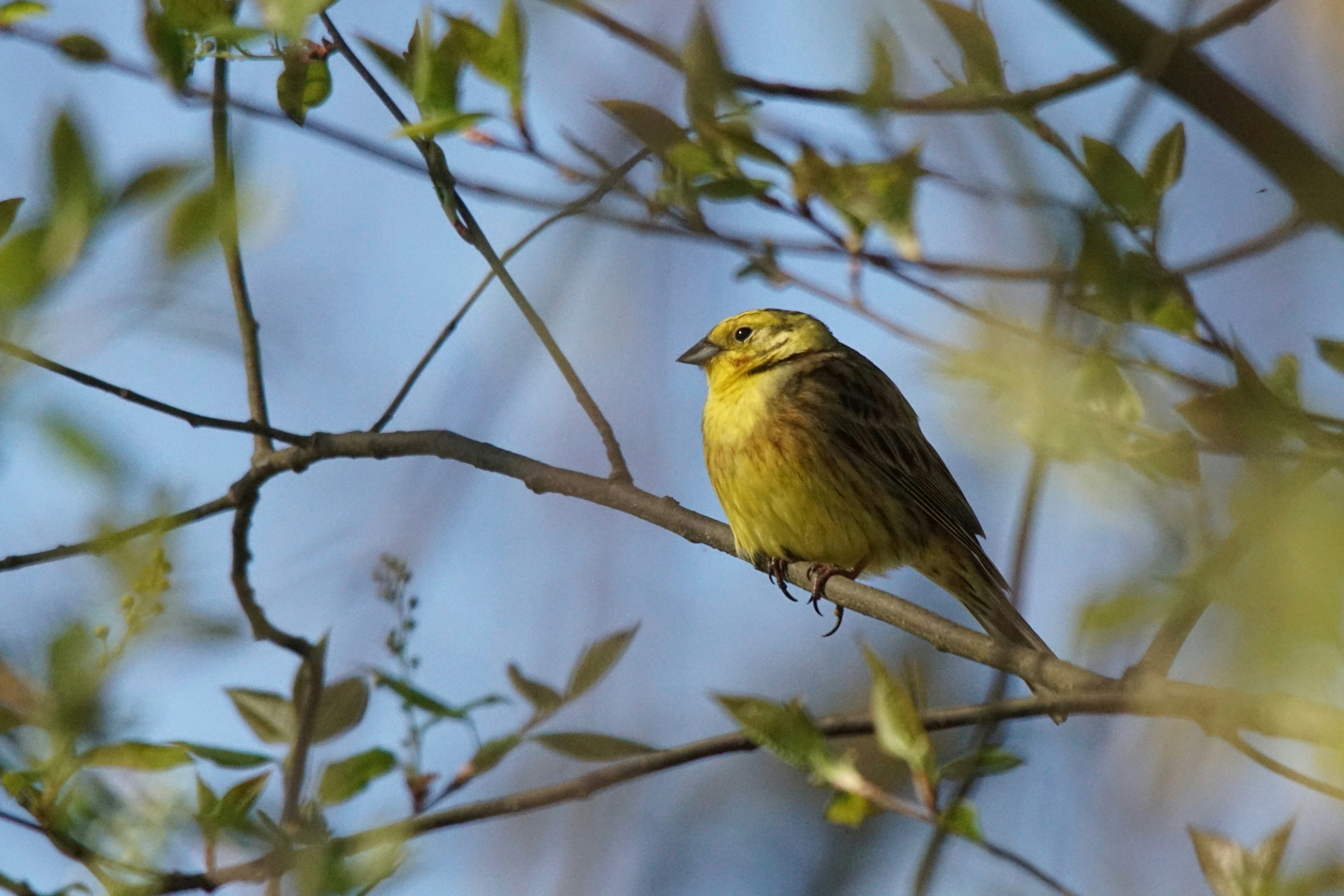 Photo by walterbrunnerfotos