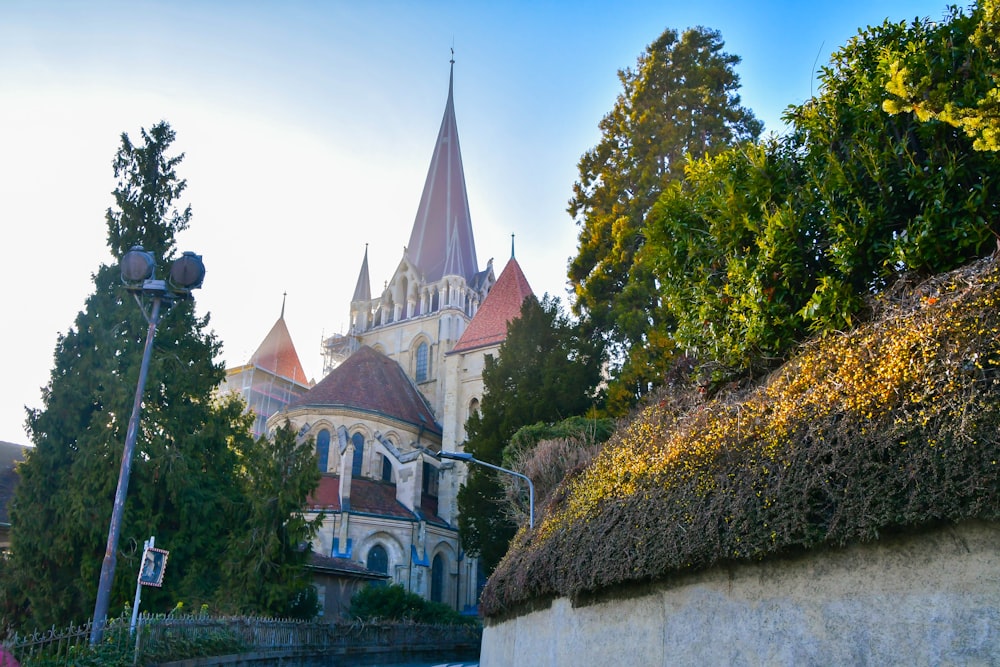 a castle with trees around it