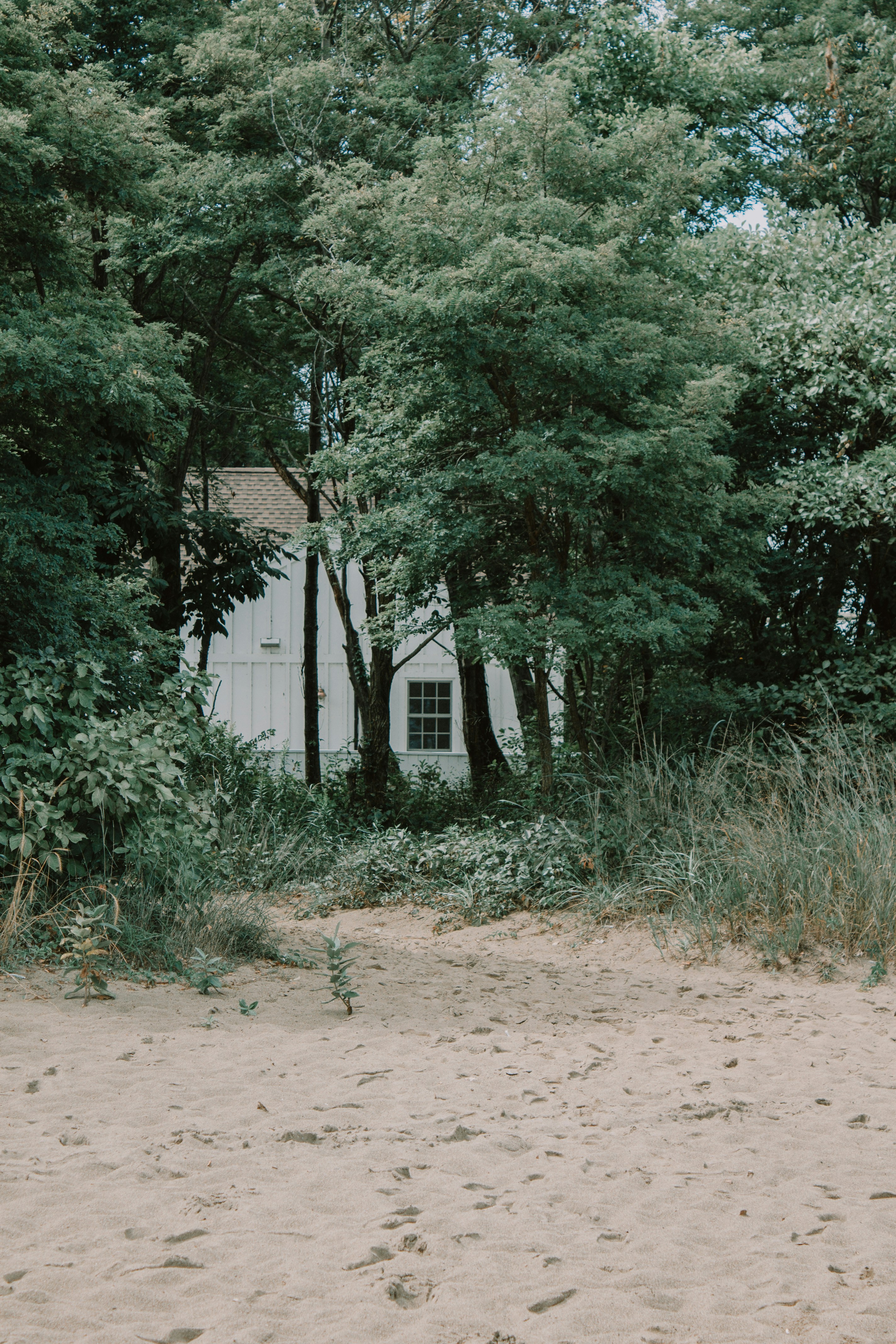 Photo by sydmoore6