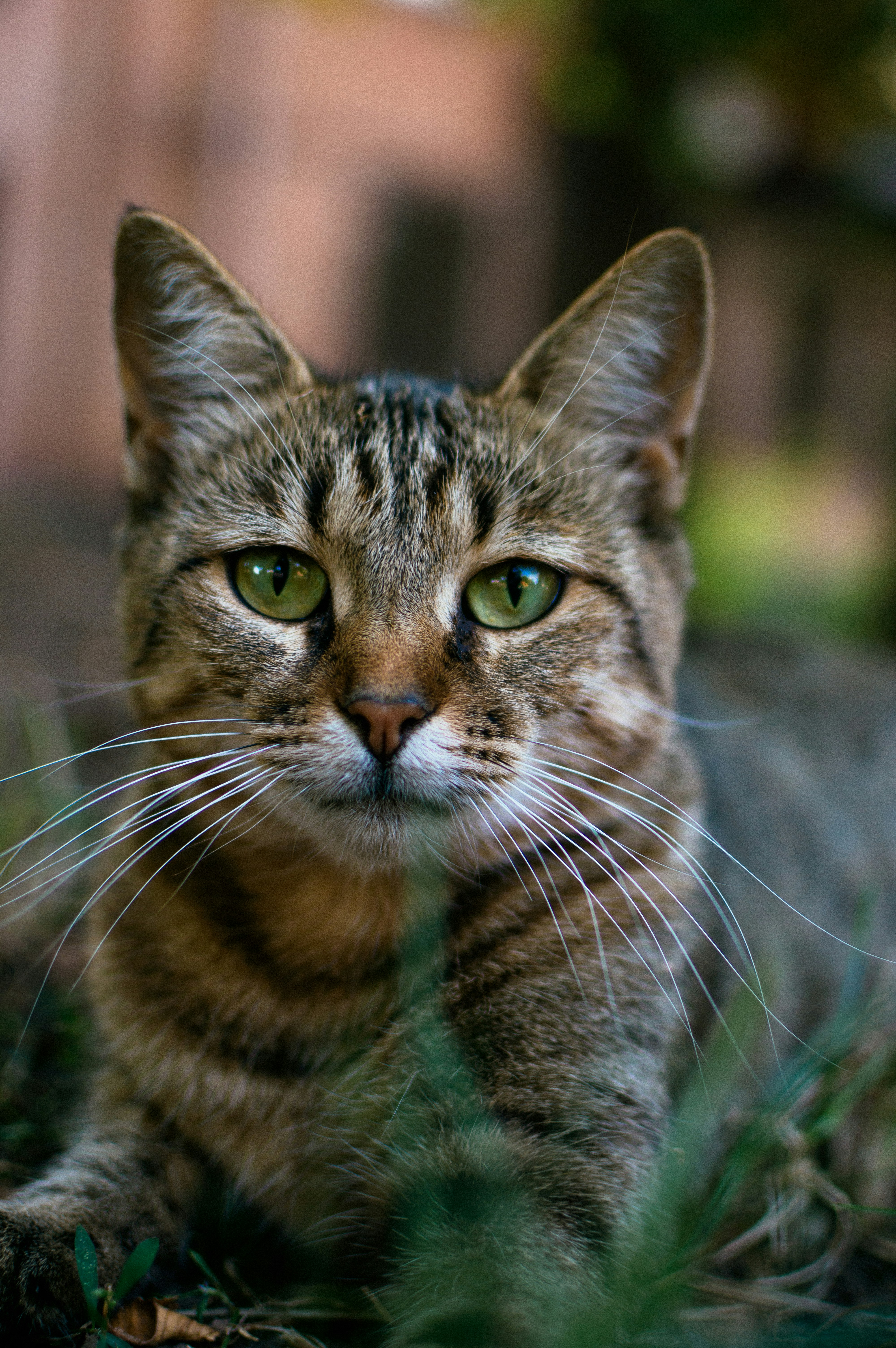 Photo by vincentuill