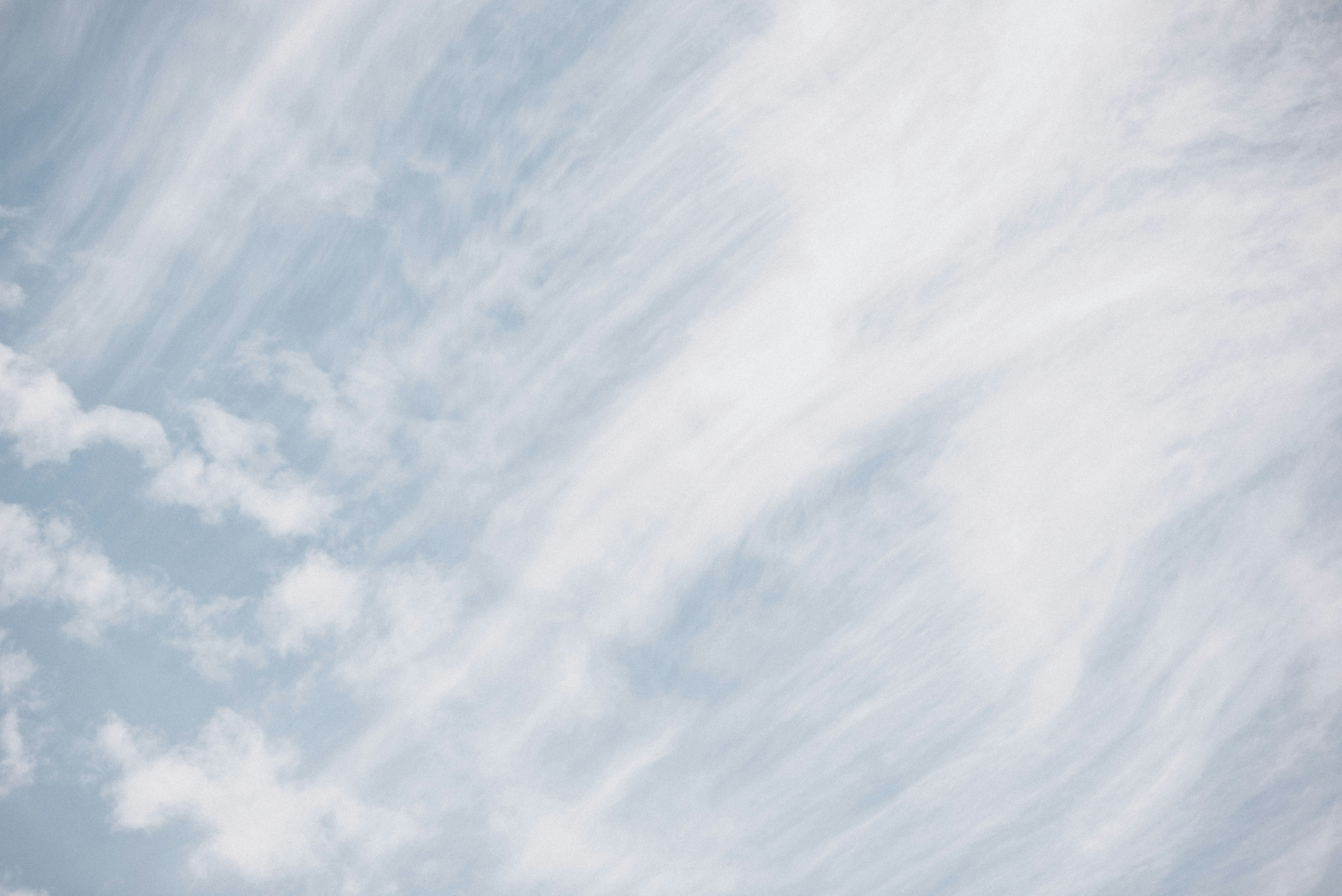 Photo by taiyoushounen