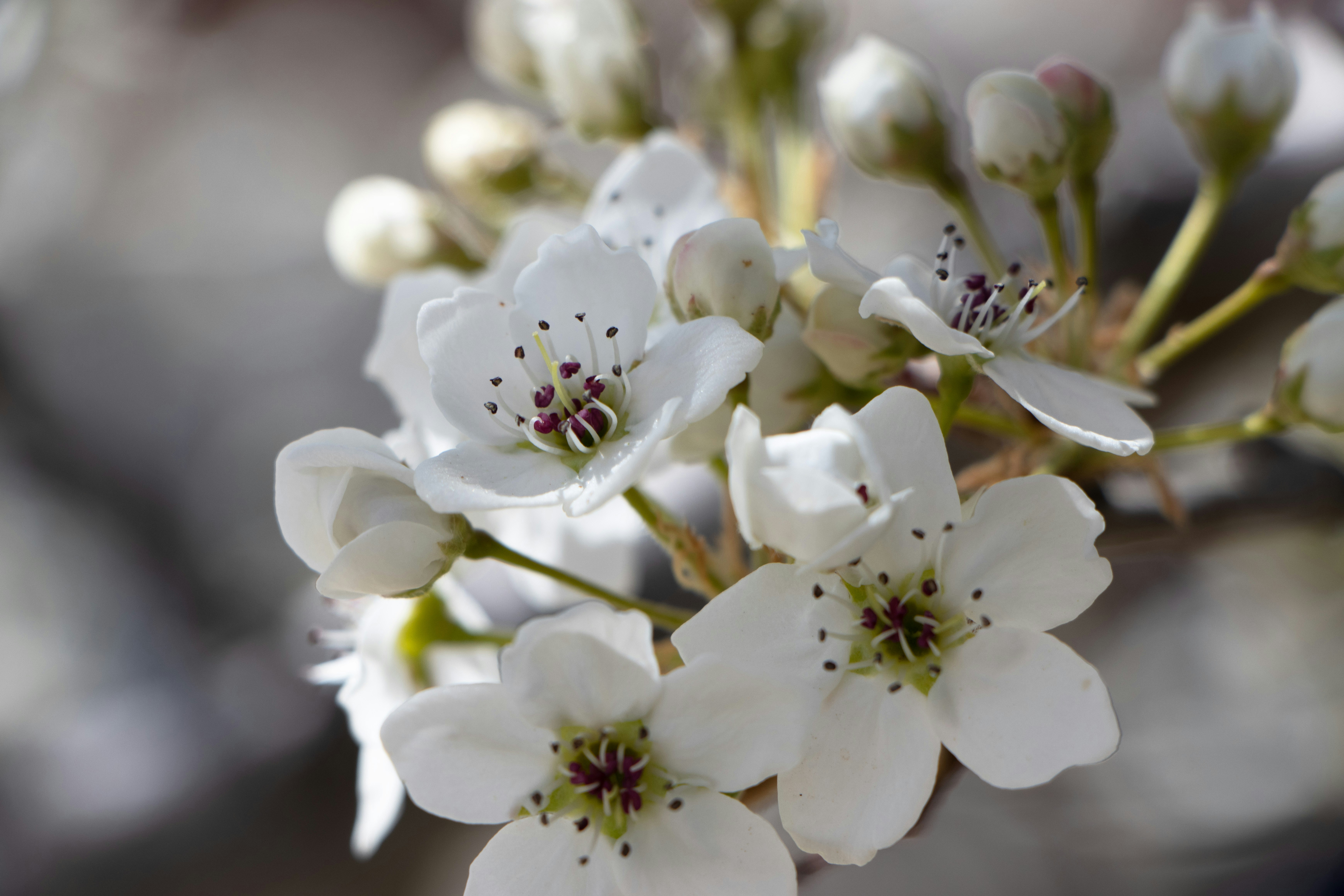 Photo by lancebegaye0