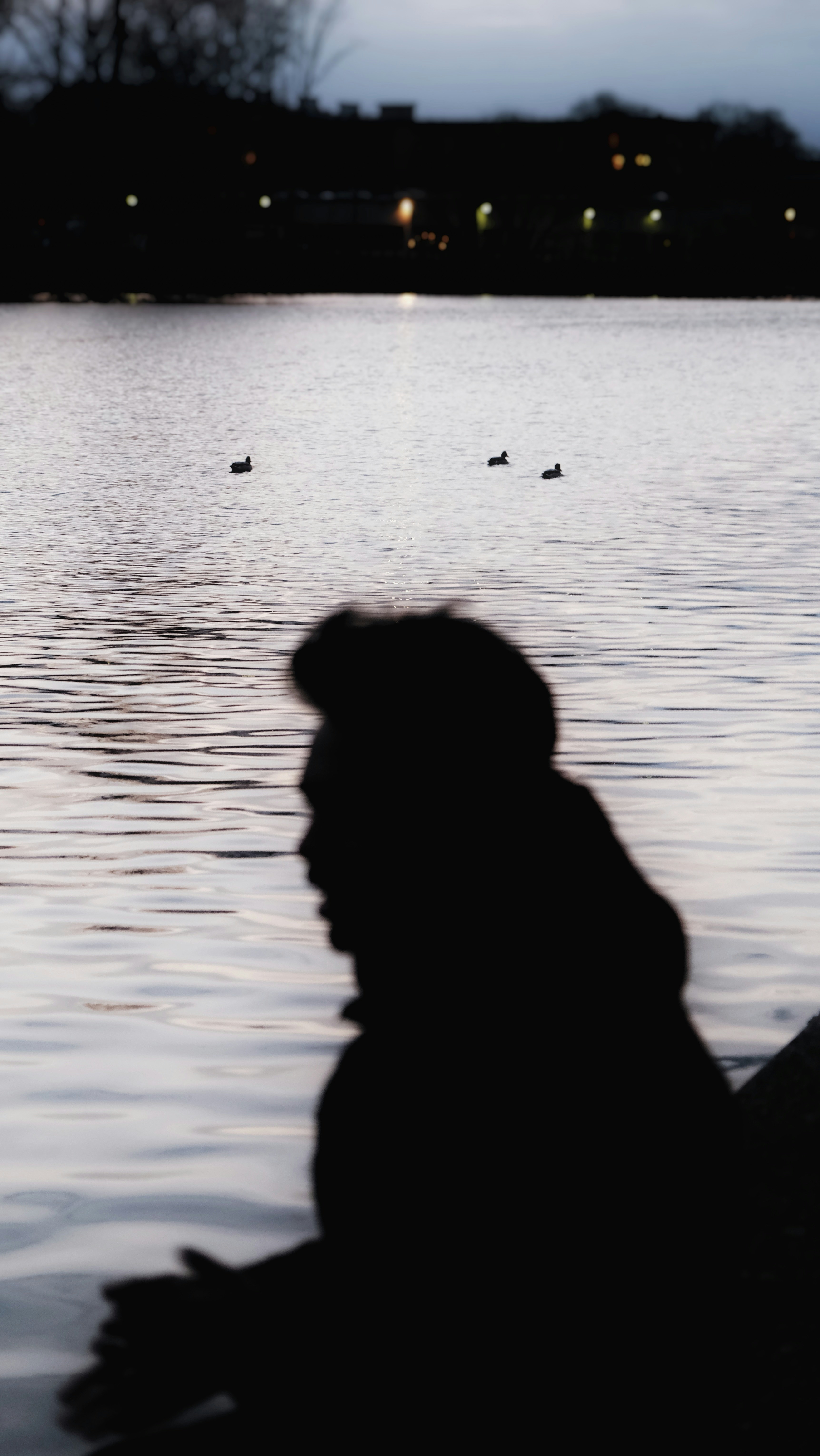 Photo by not_yet_god