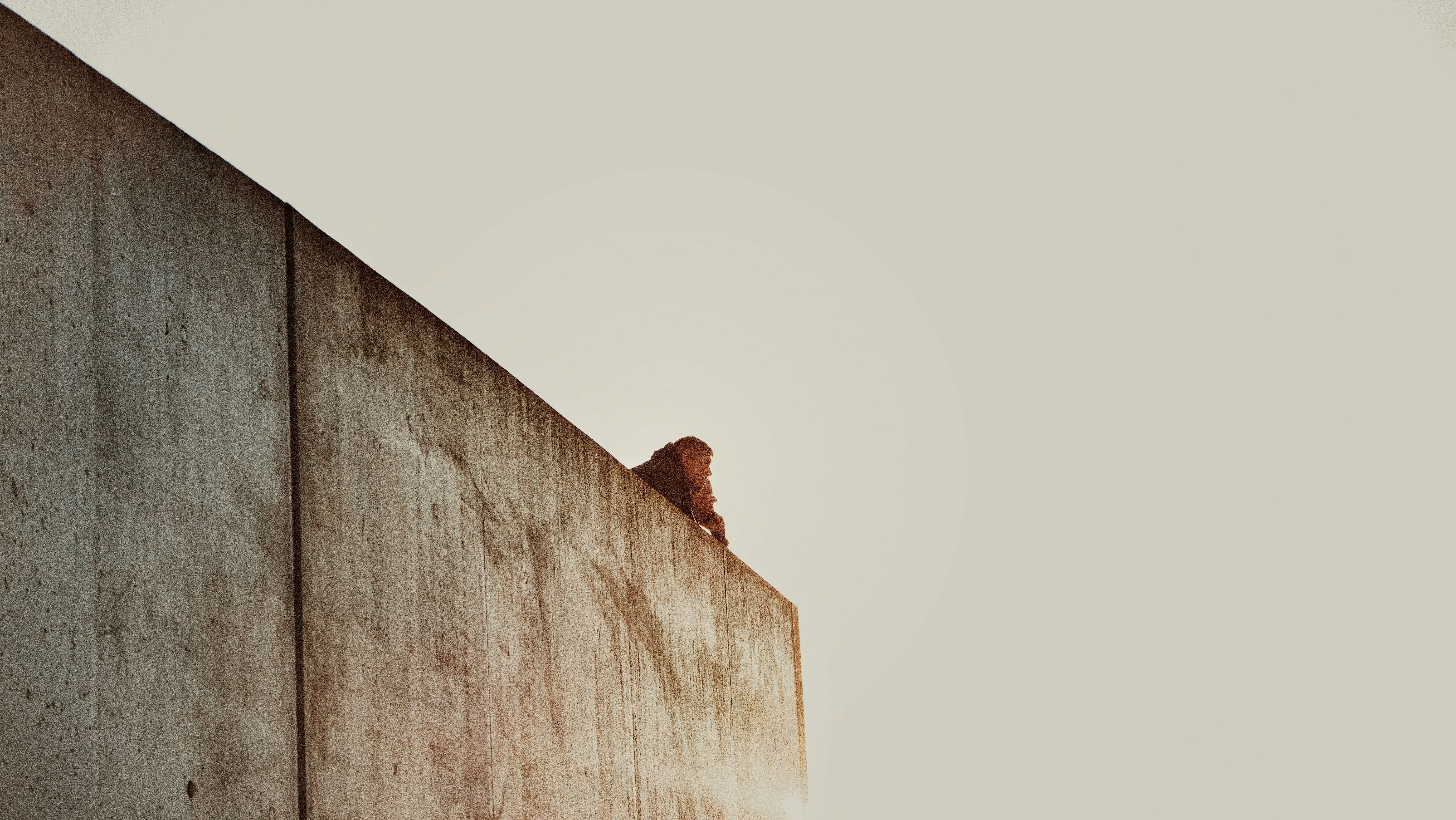 a squirrel on a wooden surface