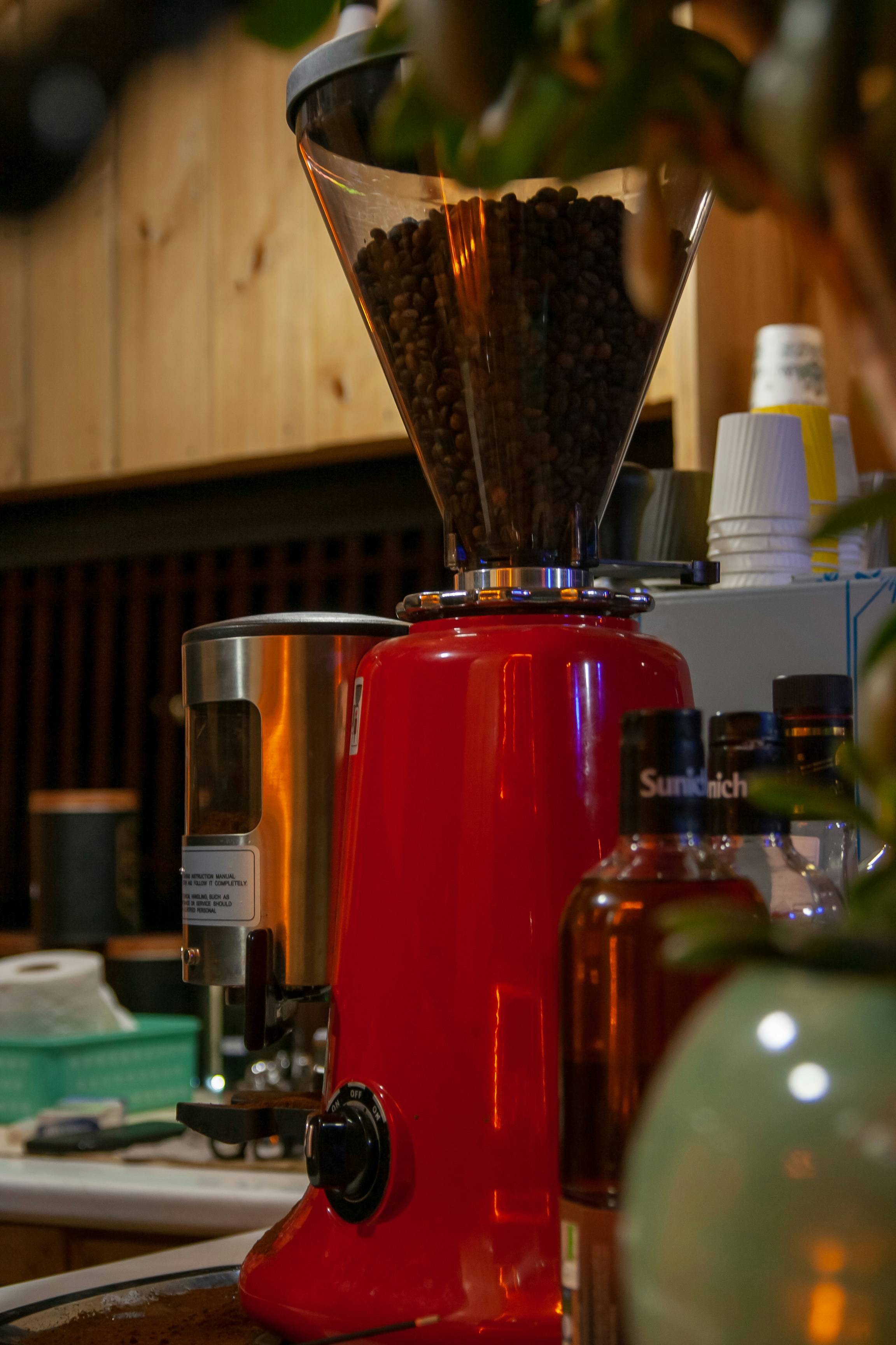 Photo by bita_eskandari