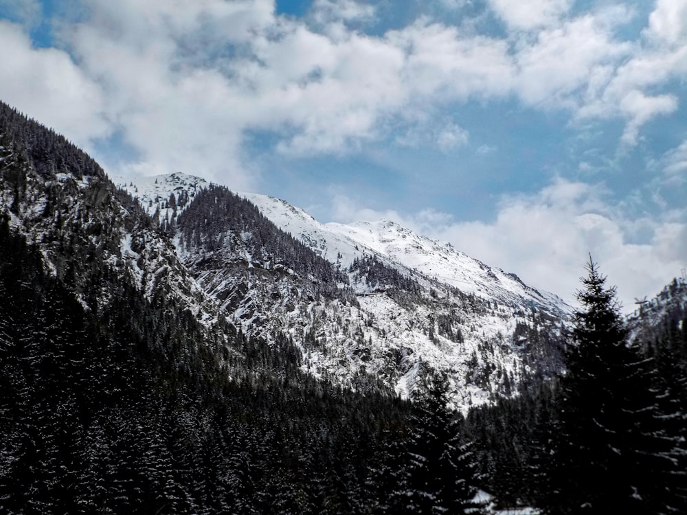 a snowy mountain with trees