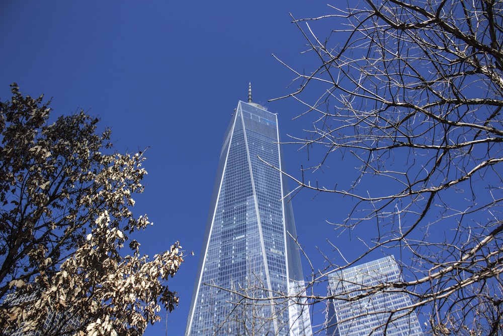 a tall building with a tree in front of it