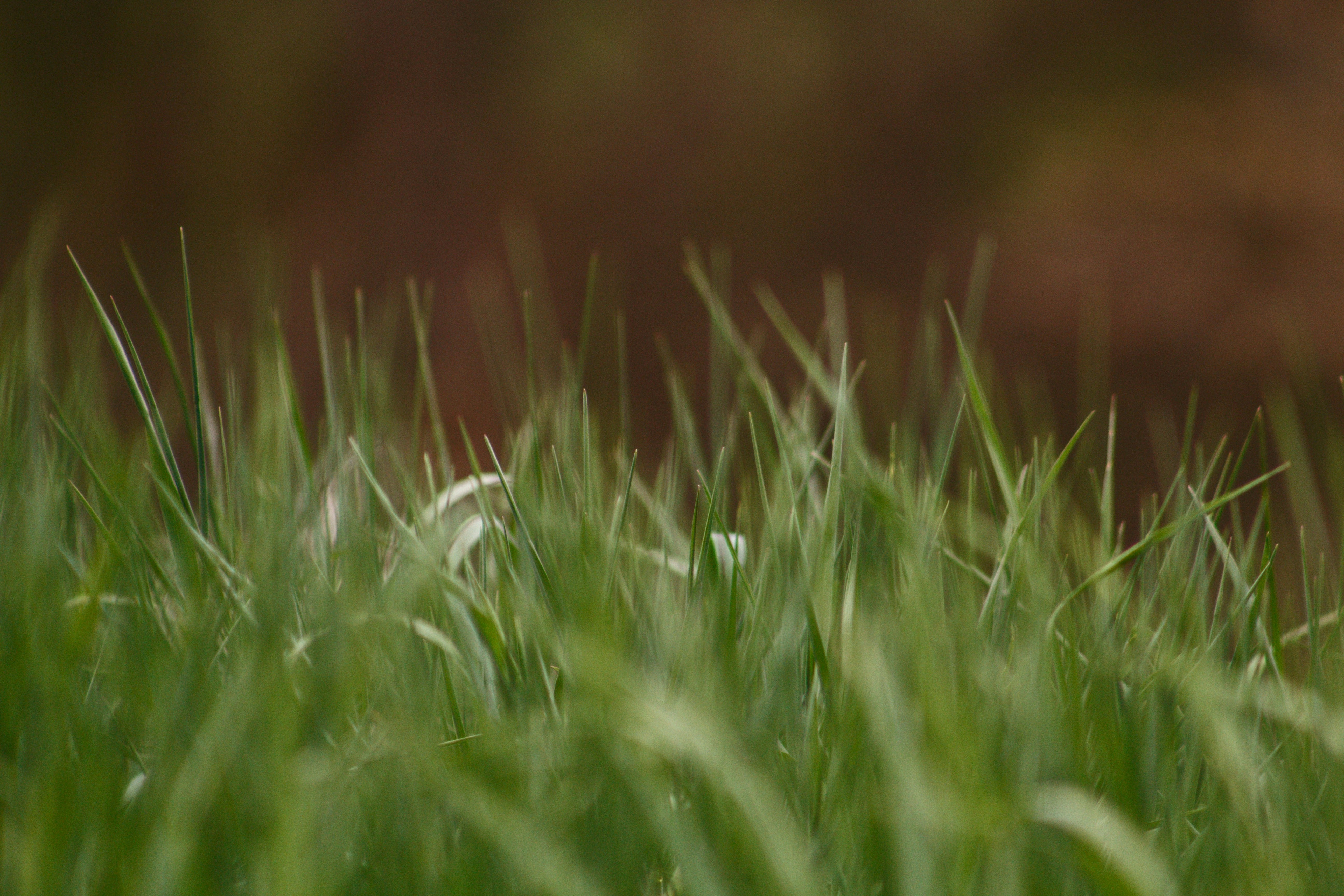 Photo by joshua_hoehne