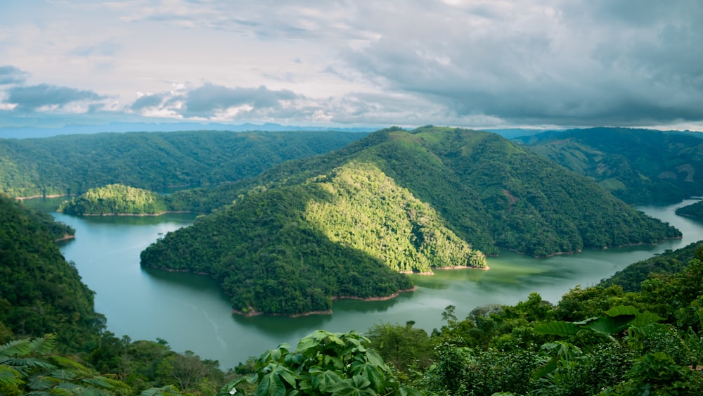 a body of water surrounded by trees