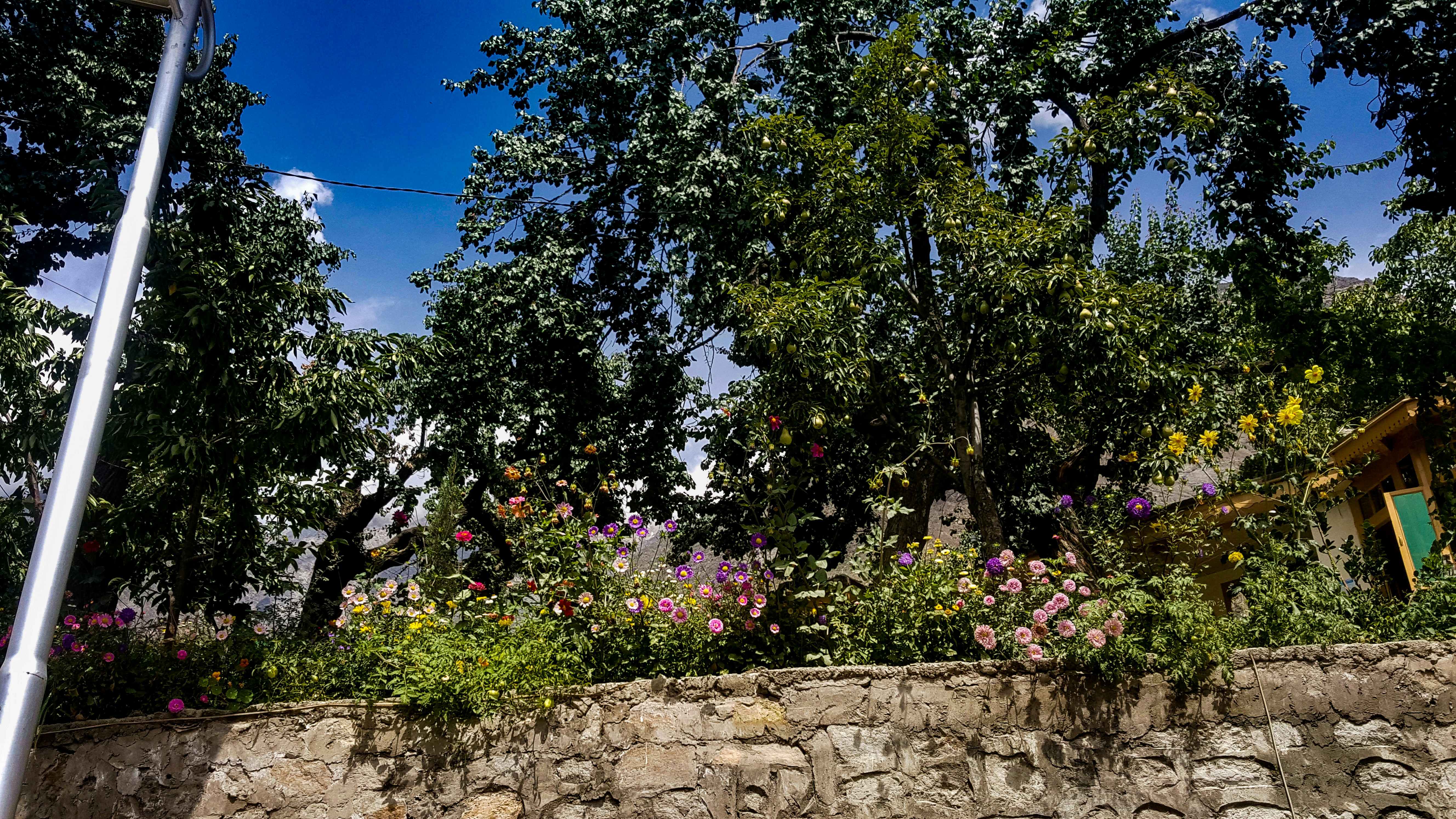 Photo by bilal_and_photography