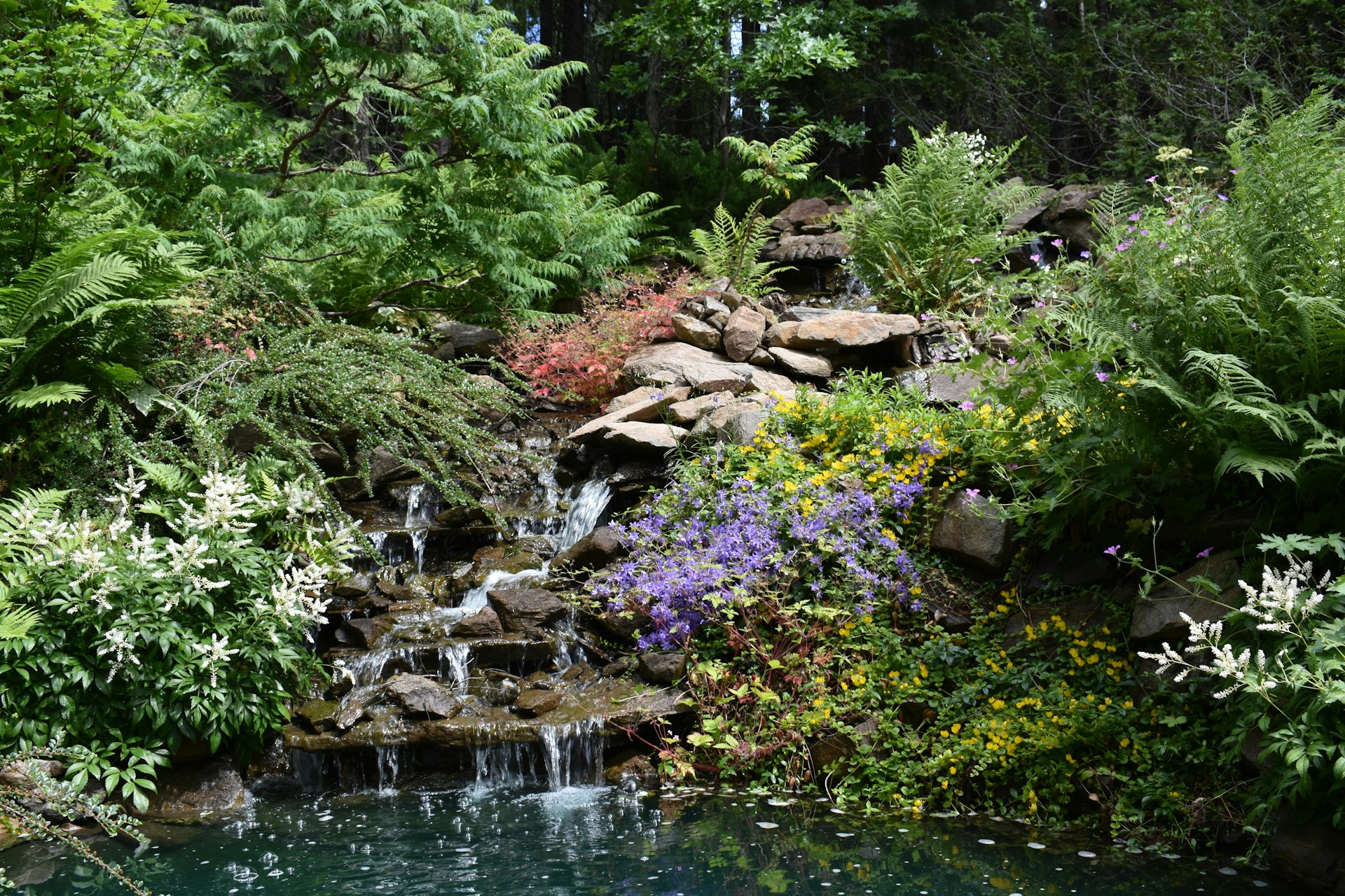 a stream with rocks and plants around it