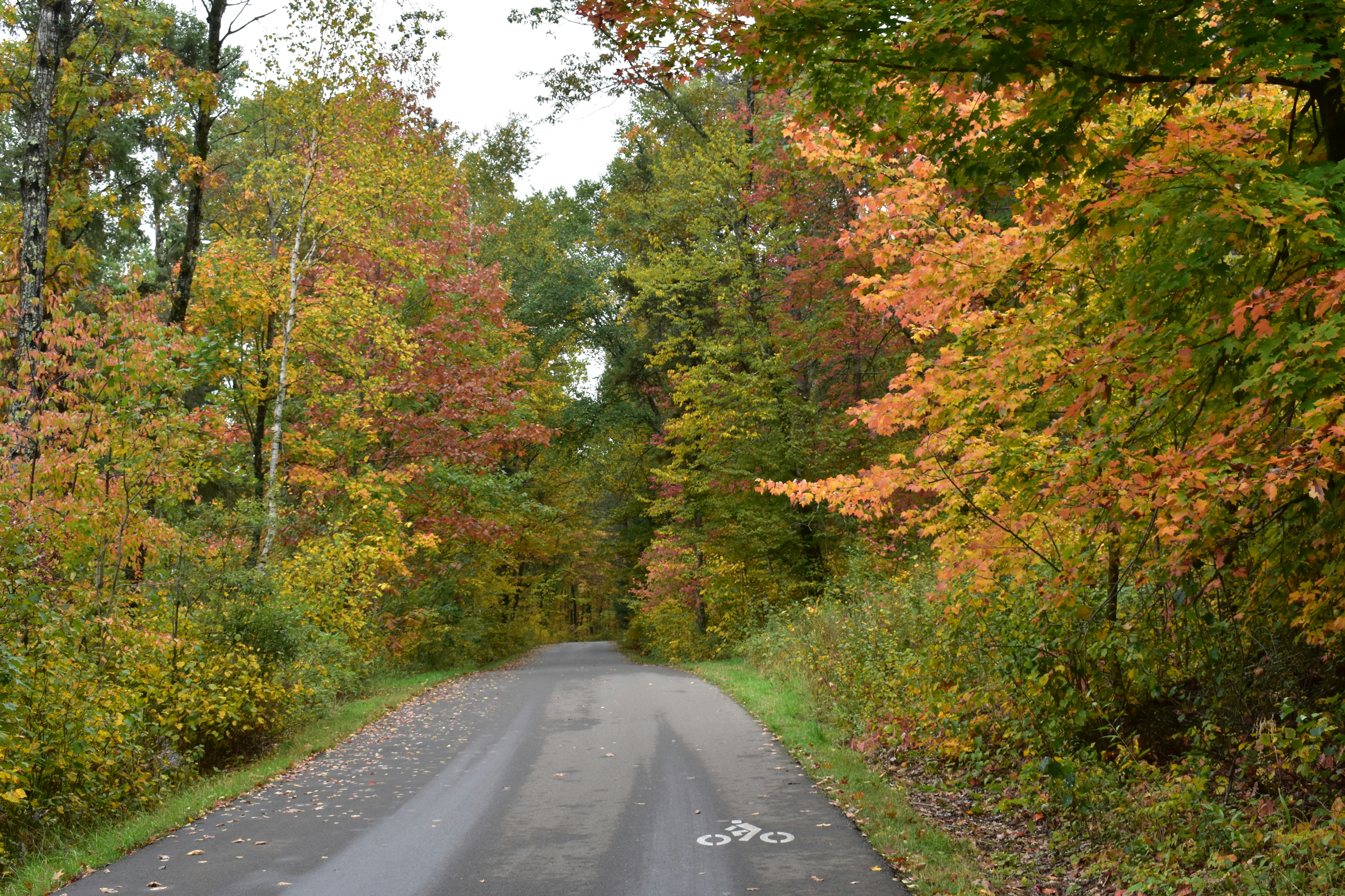 Photo by upnorth52