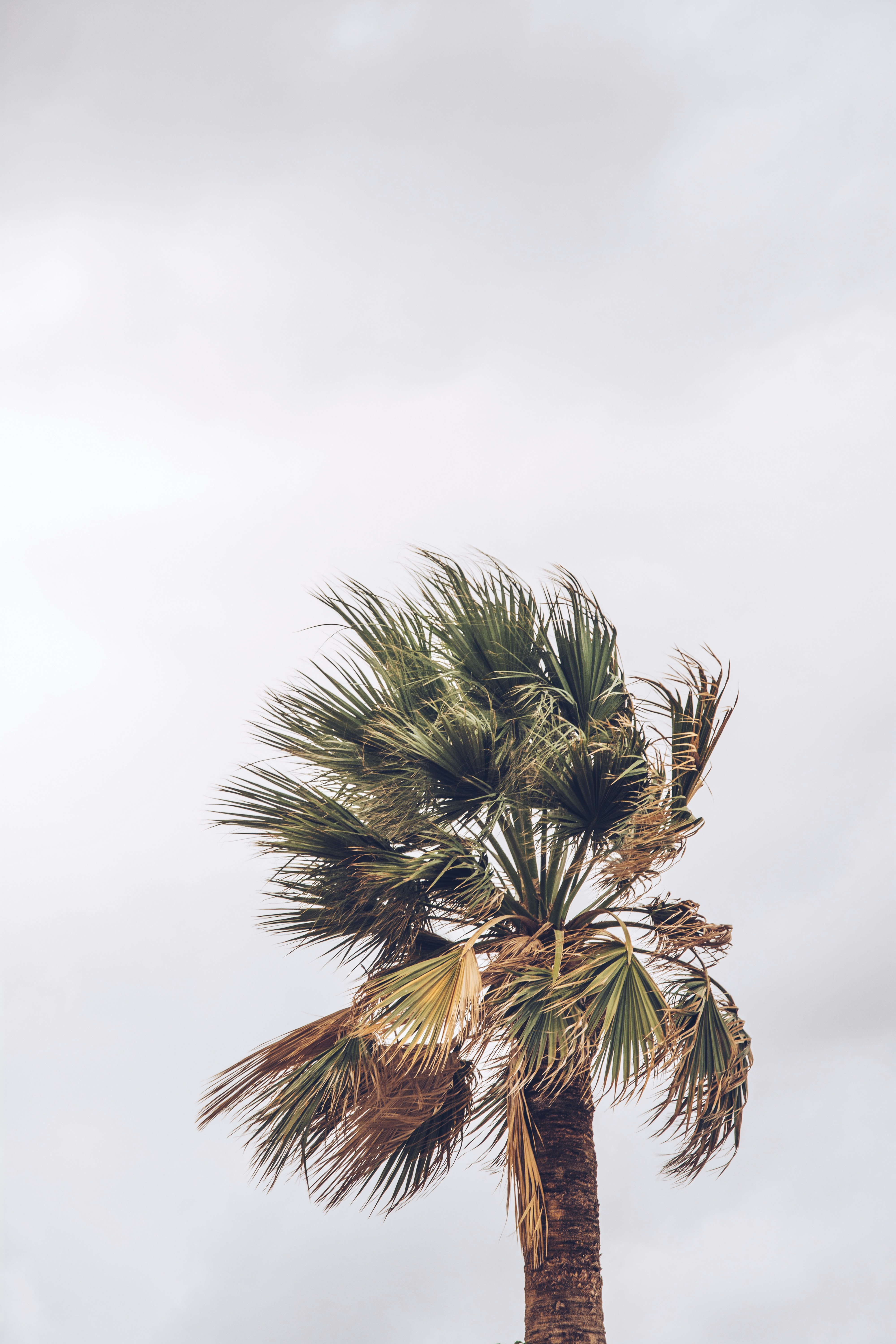 Photo by alexmarcwagner