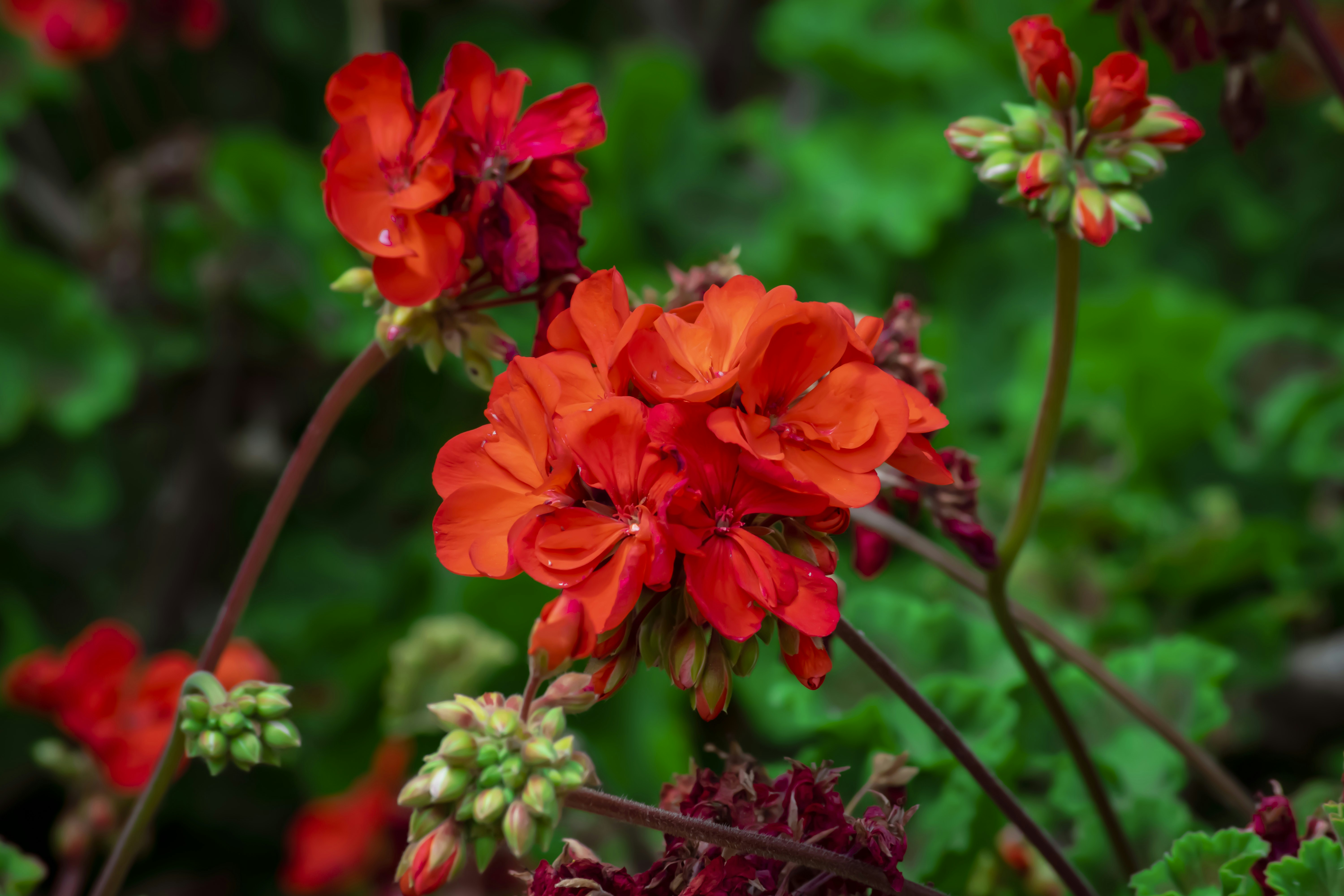 Photo by aman_katyal