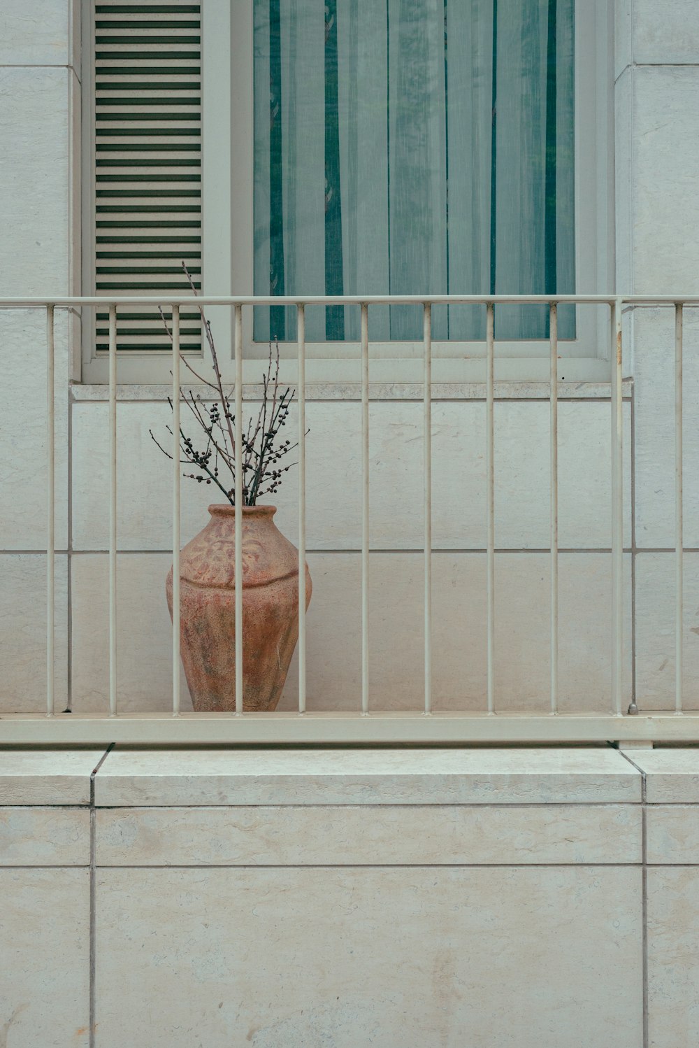 a plant in a pot on a window sill